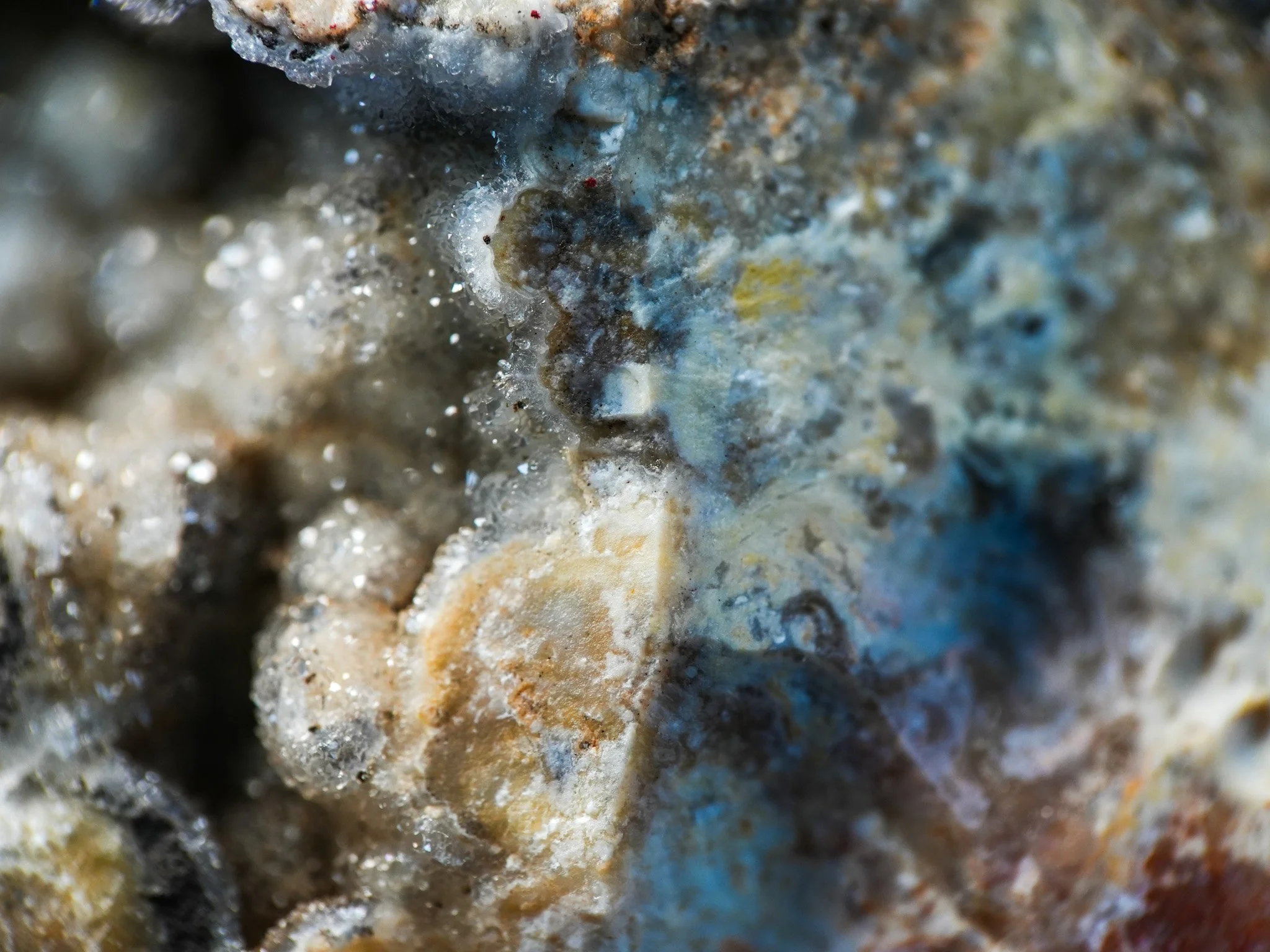 2026-02-17 15-18-22 (B,R8,S1).jpg