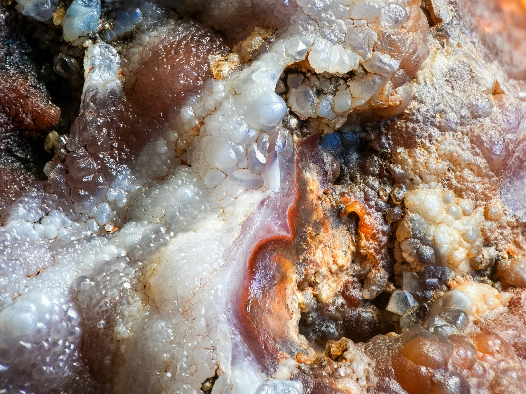 2026-02-26 15-51-09 (B,R8,S1).jpg