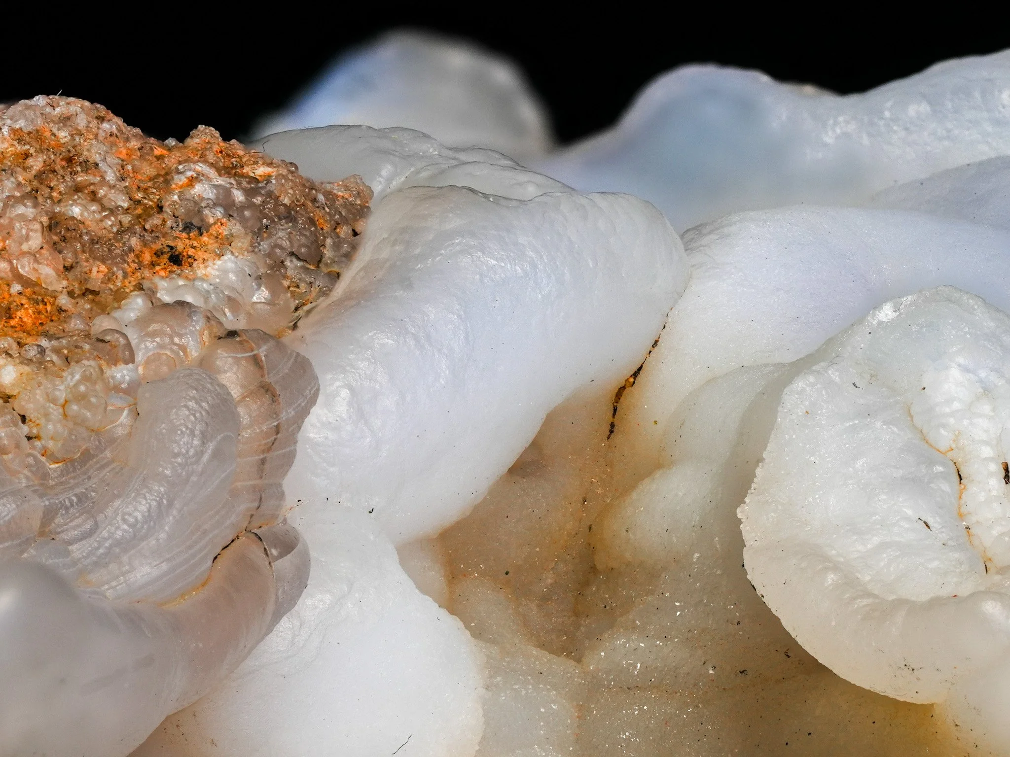 2026-02-12 13-48-01 (B,R8,S1).jpg