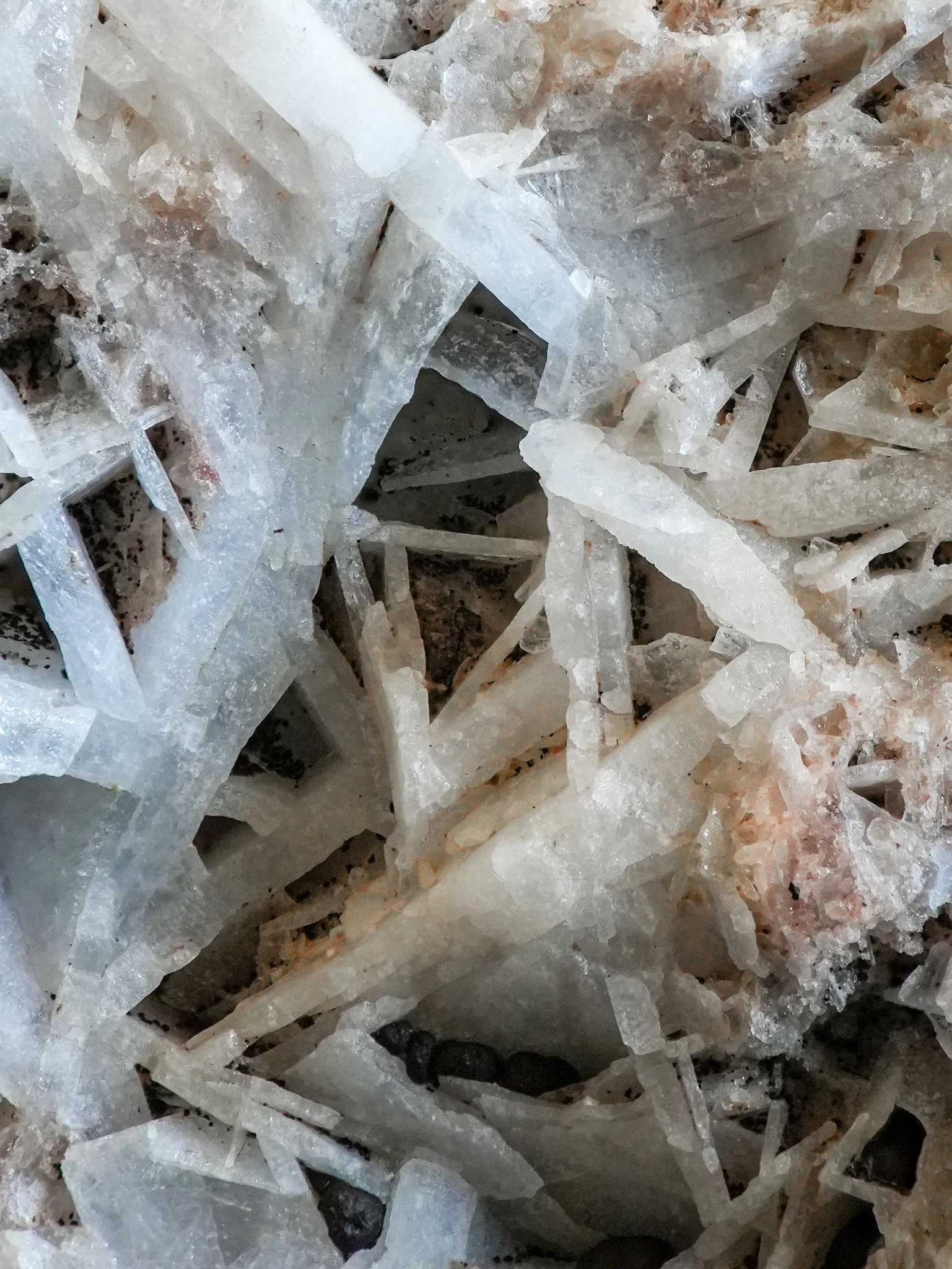 2026-01-20 15-00-10 (B,R8,S4).jpg