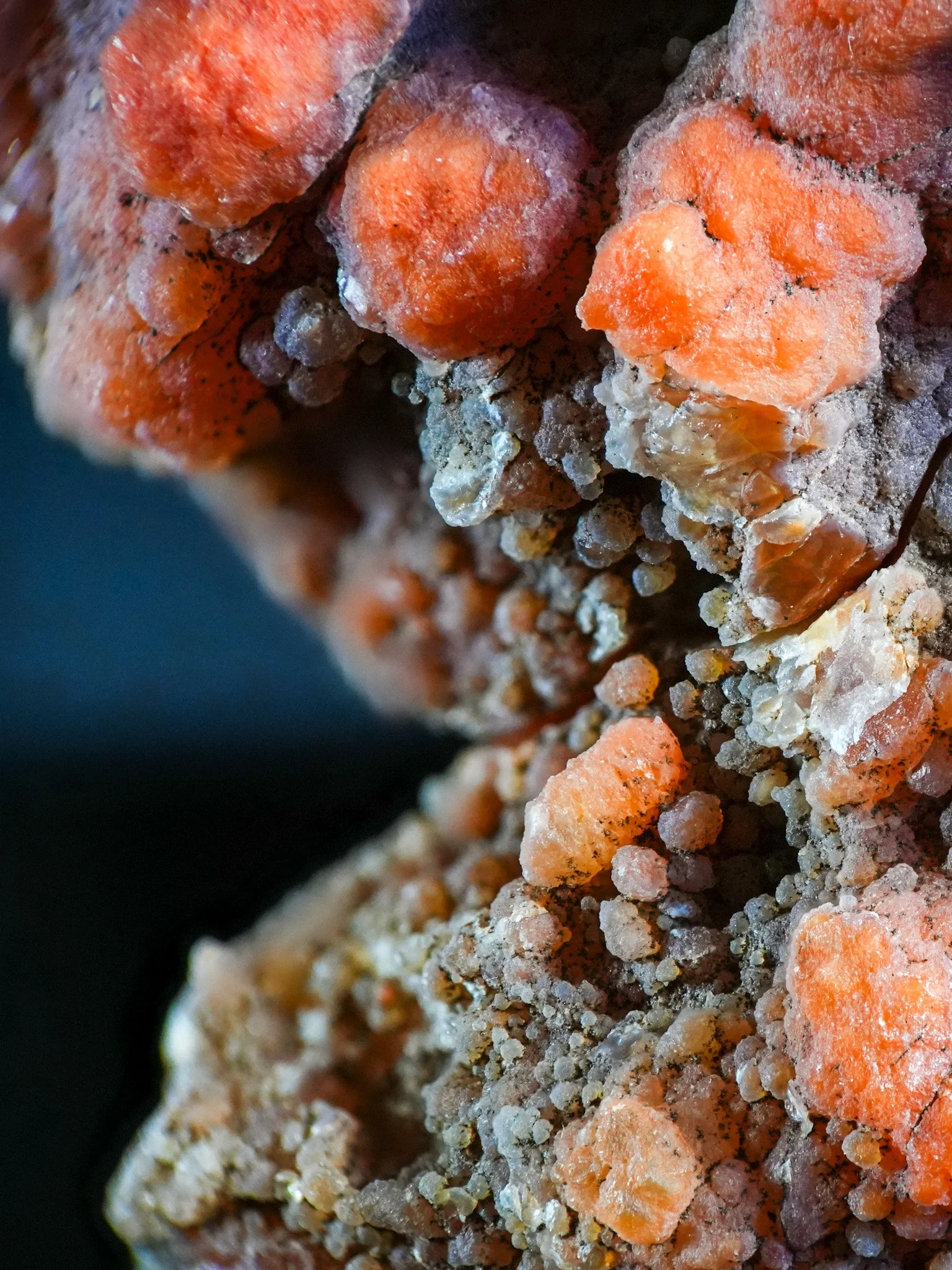 2026-02-19 12-13-15 (B,R8,S1).jpg