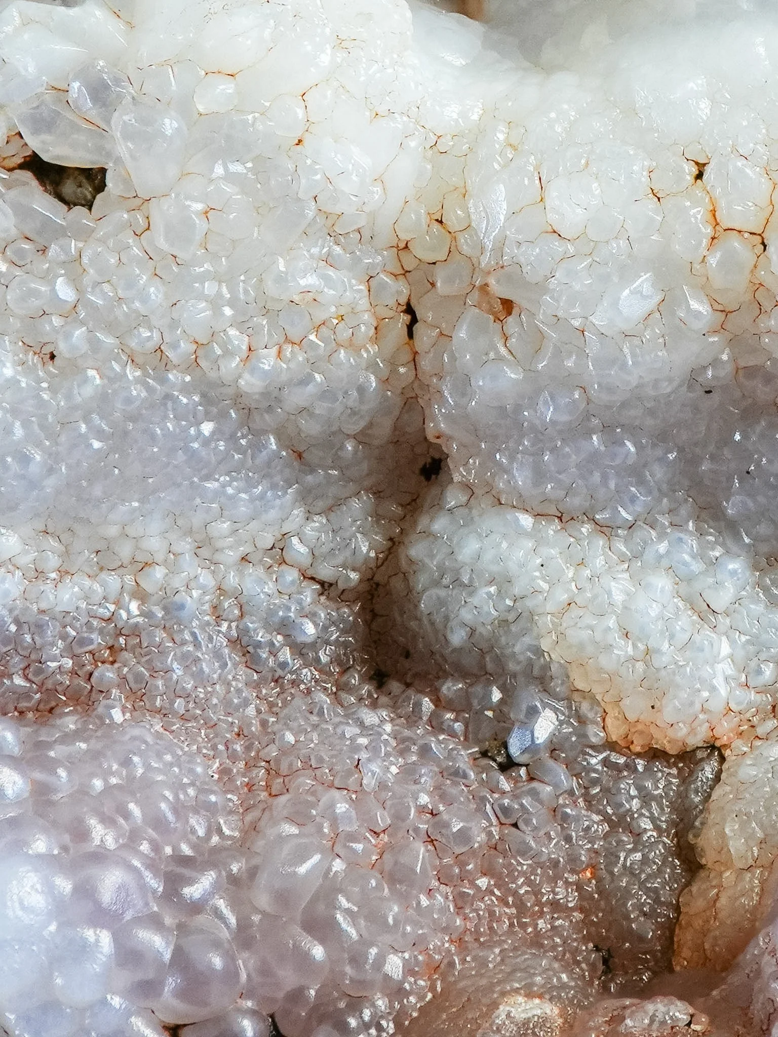 2026-02-26 15-24-46 (B,R8,S1).jpg