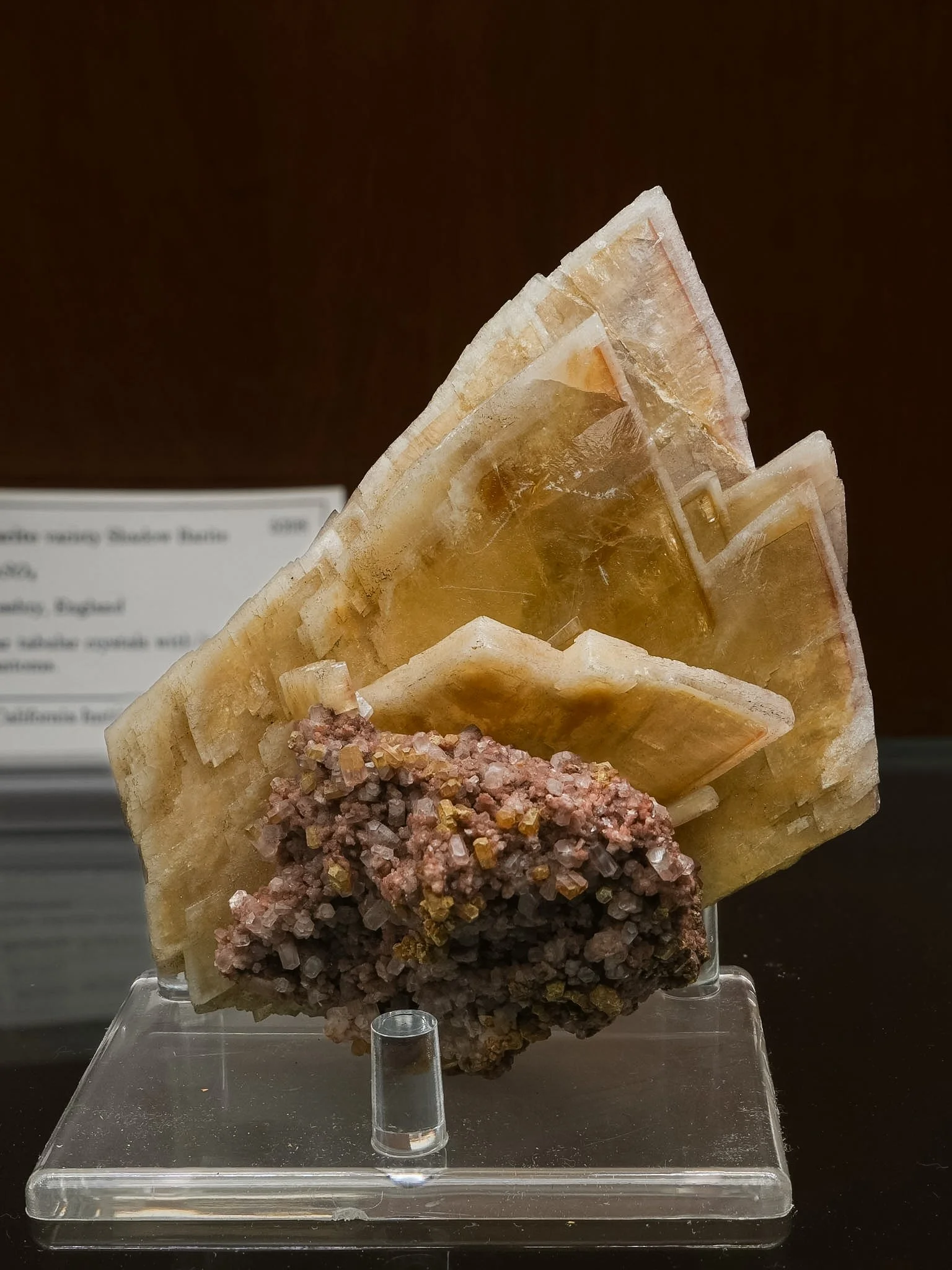 2026-03-05 15-33-11 (B,R8,S1).jpg