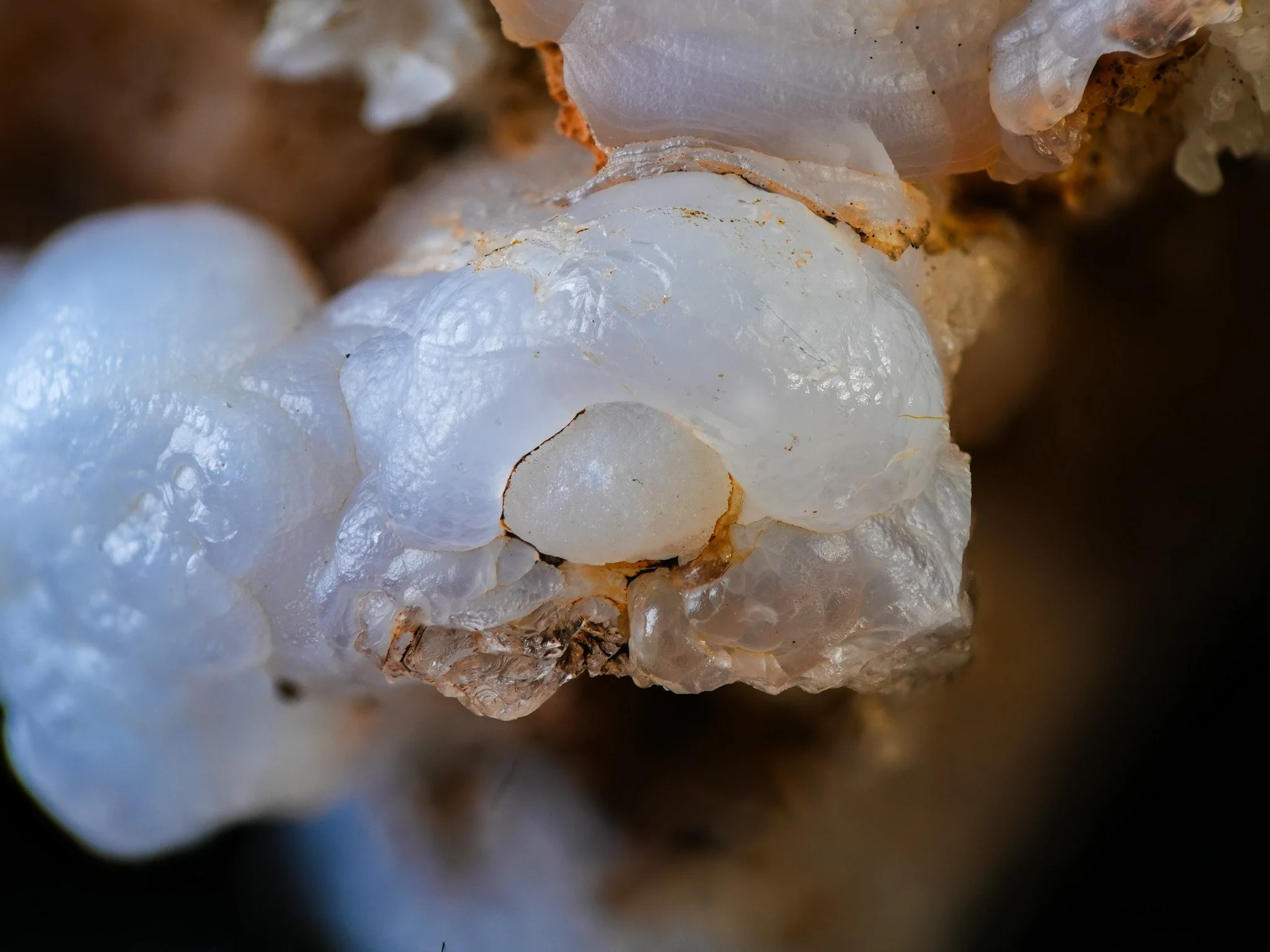 2026-02-06 17-31-01 (B,R8,S4) 2.jpg