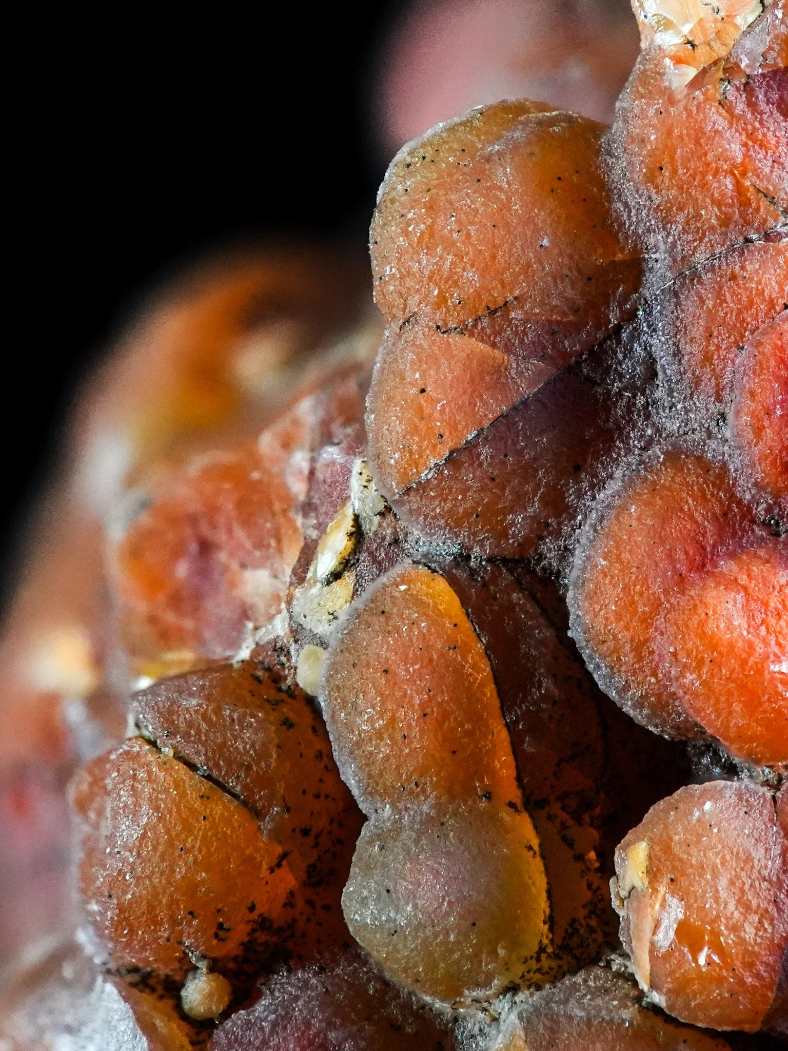 2026-02-19 12-18-46 (B,R8,S1).jpg