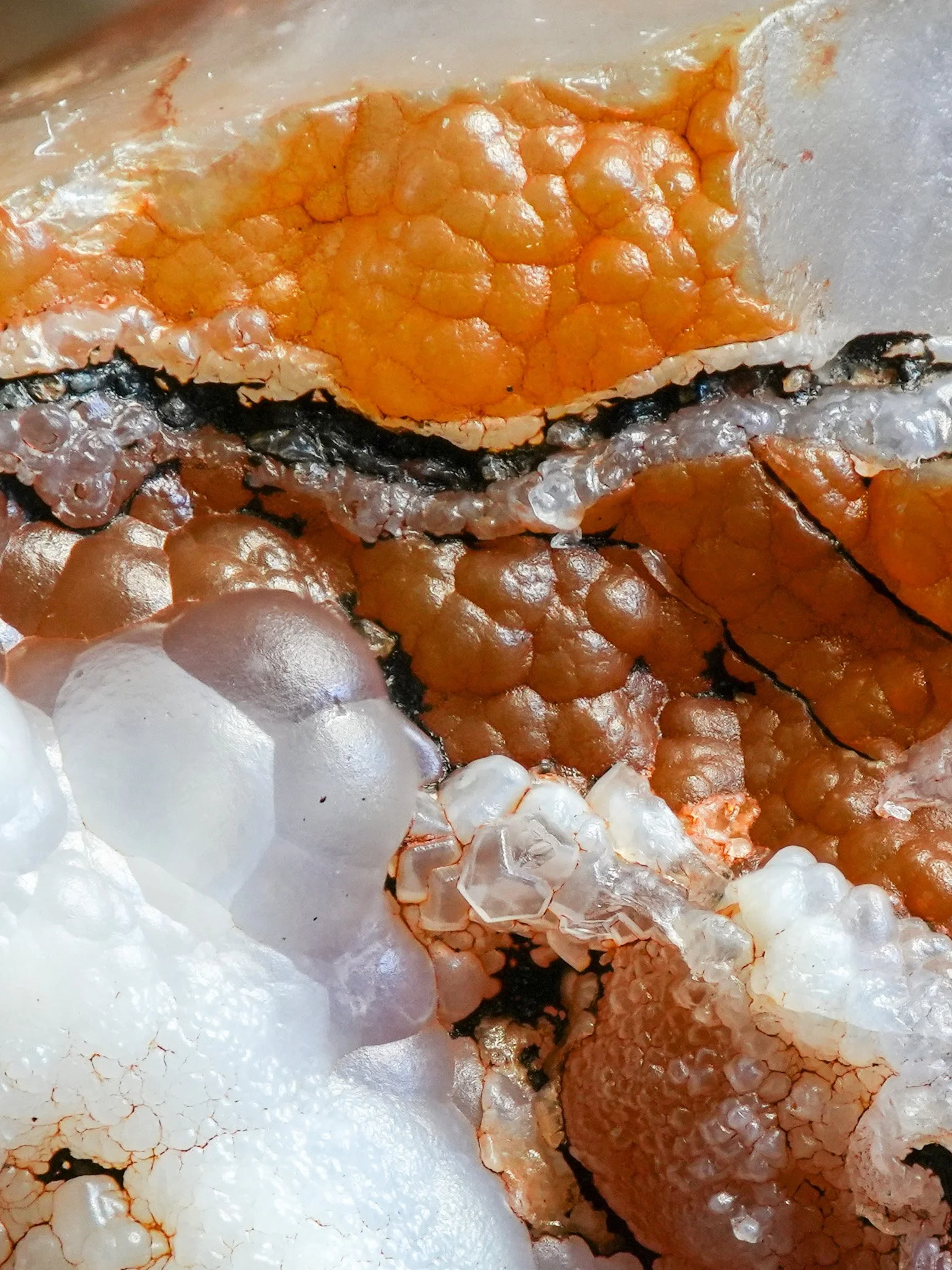 2026-02-26 15-27-27 (B,R8,S1).jpg