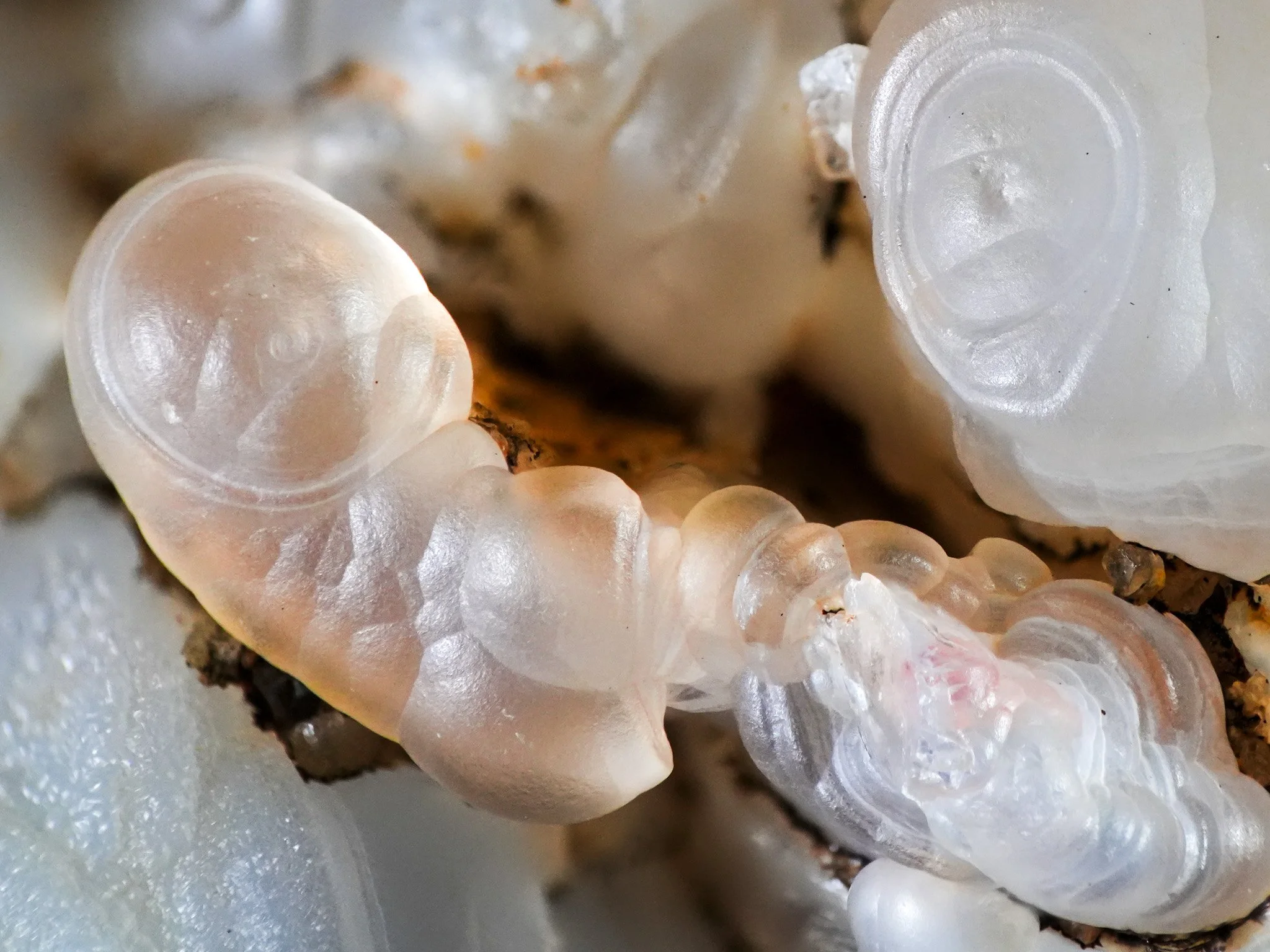 2026-01-02 12-16-37 (B,R8,S4) 2.jpg