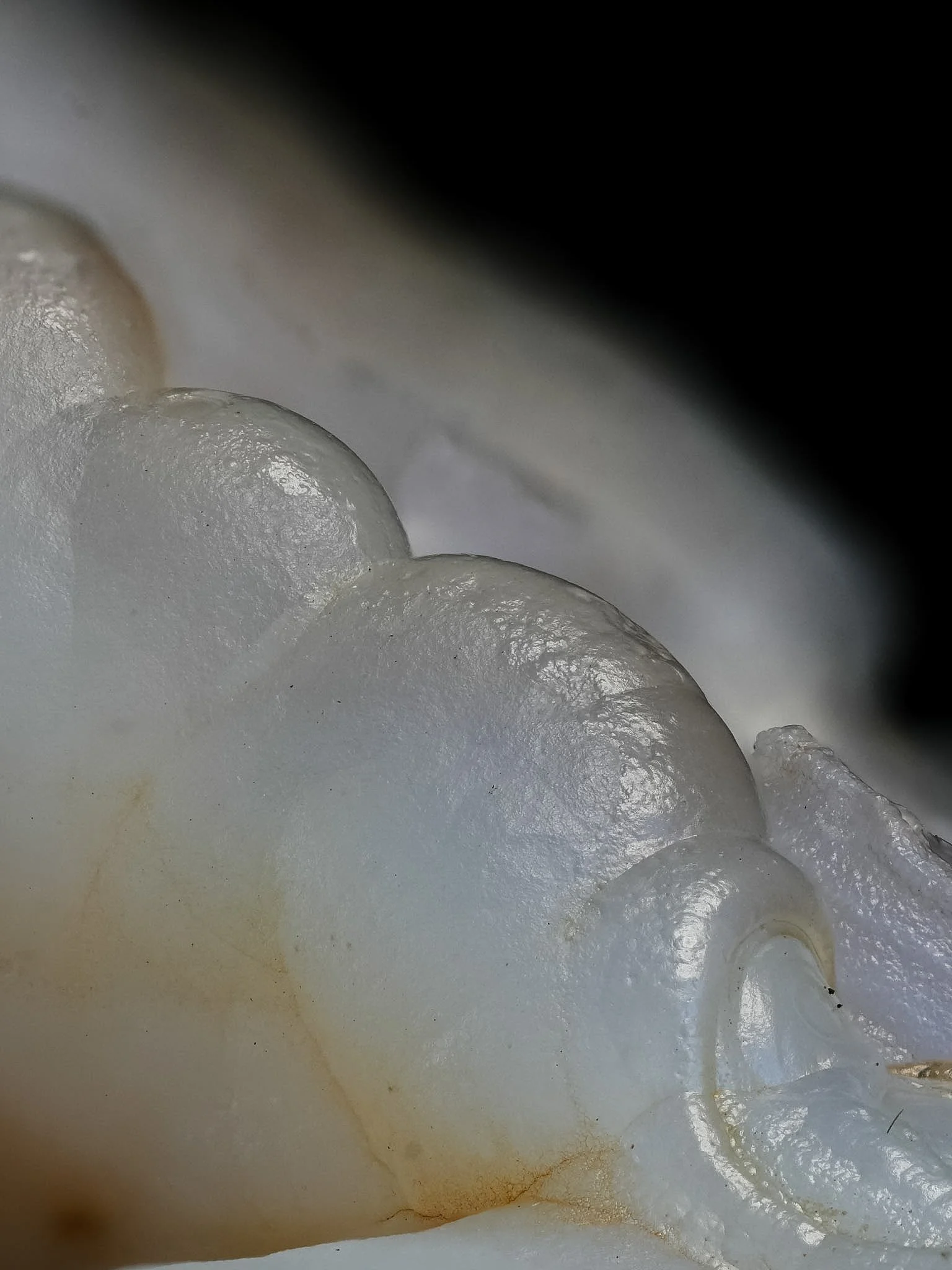 2026-03-16 16-06-19 (B,R8,S1).jpg