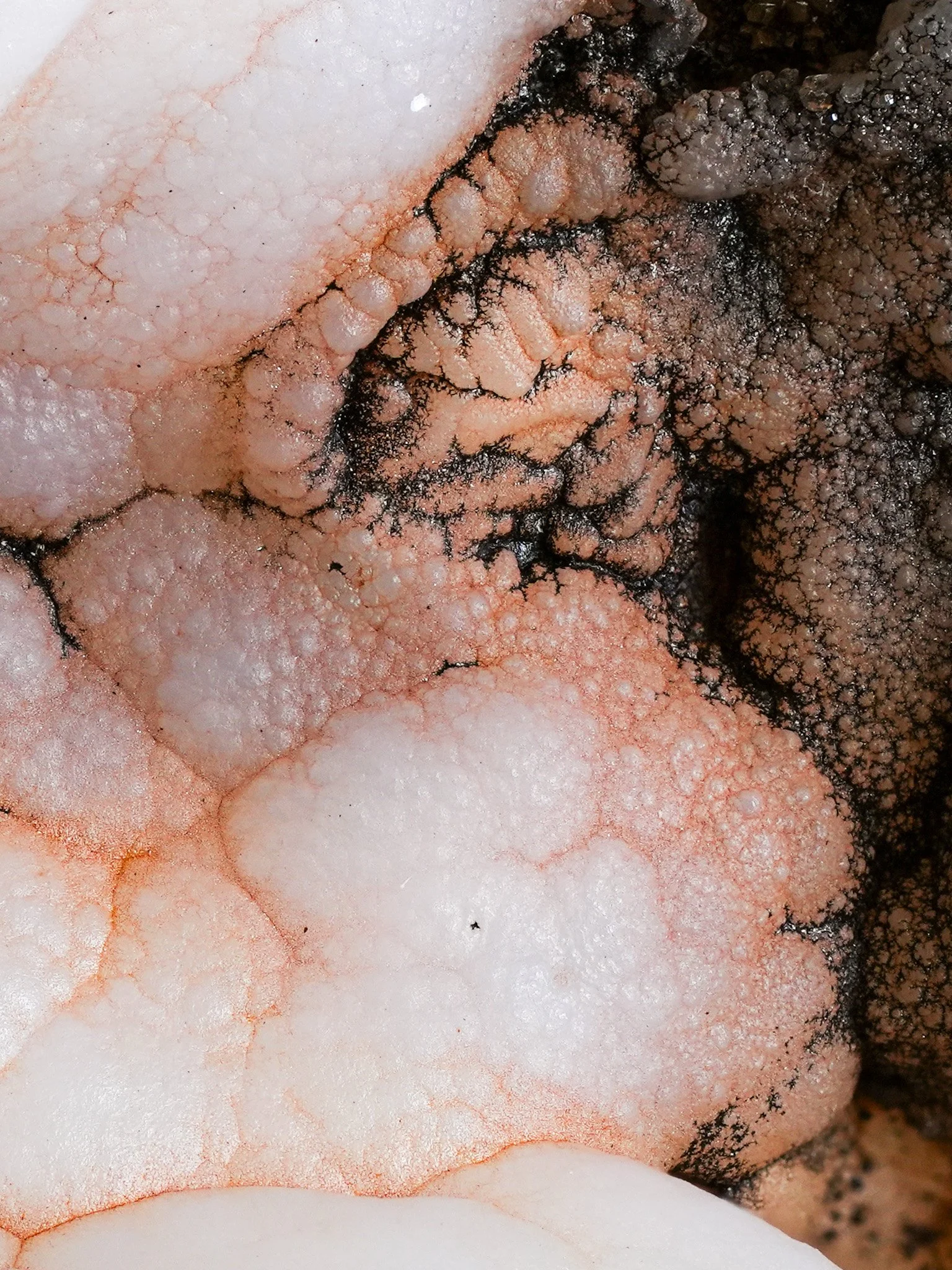 2026-01-06 15-19-39 (B,R8,S4).jpg