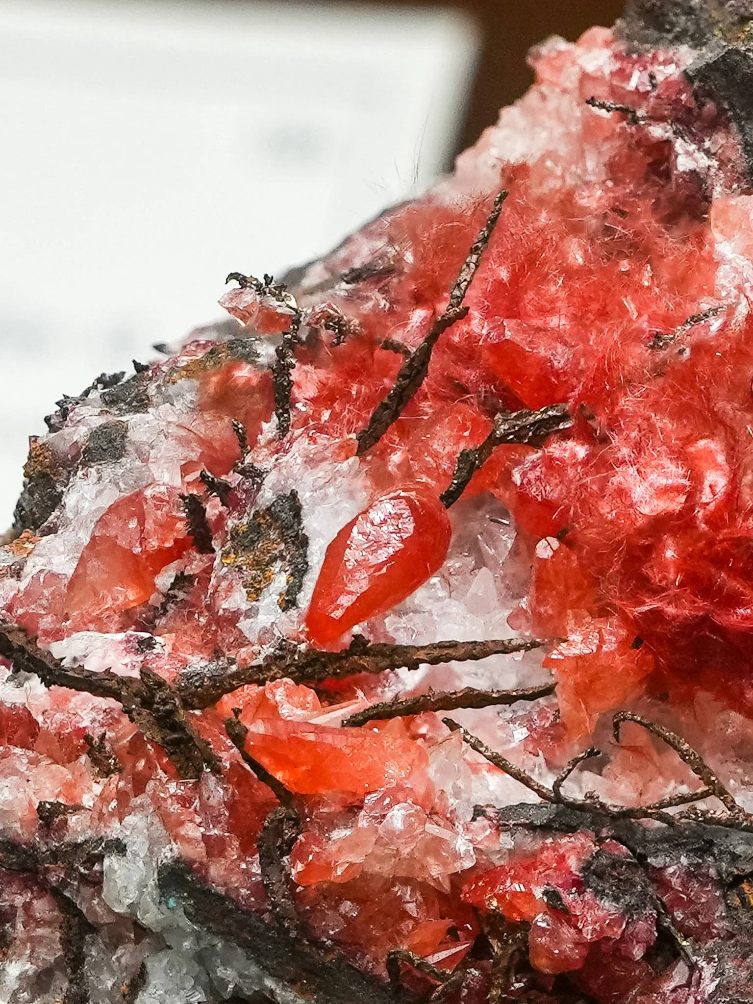 2026-03-05 15-26-24 (B,R8,S1).jpg