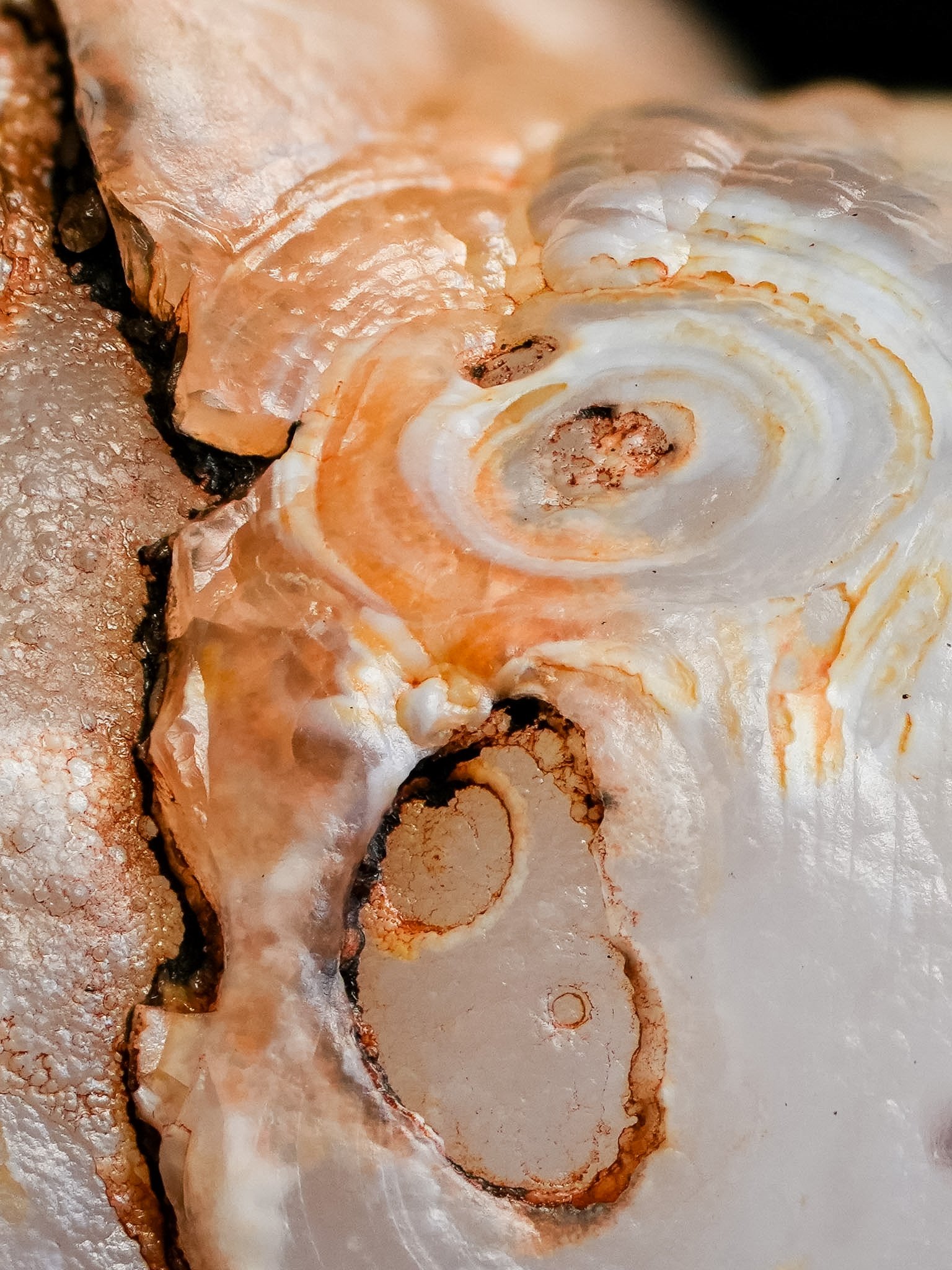 2026-03-12 13-05-38 (B,R8,S1).jpg