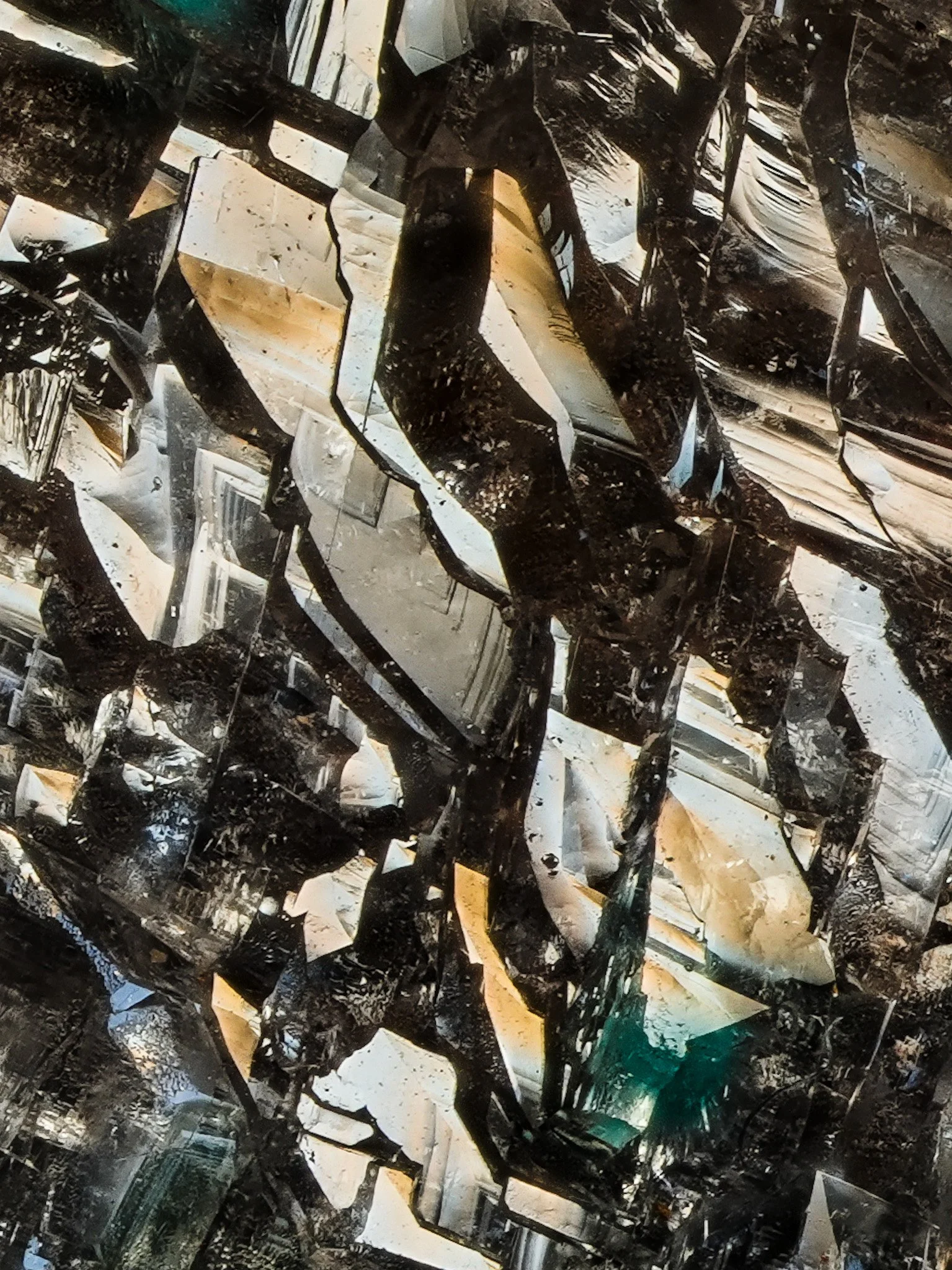 2026-04-09 16-11-36 (C,S1) 2.jpg