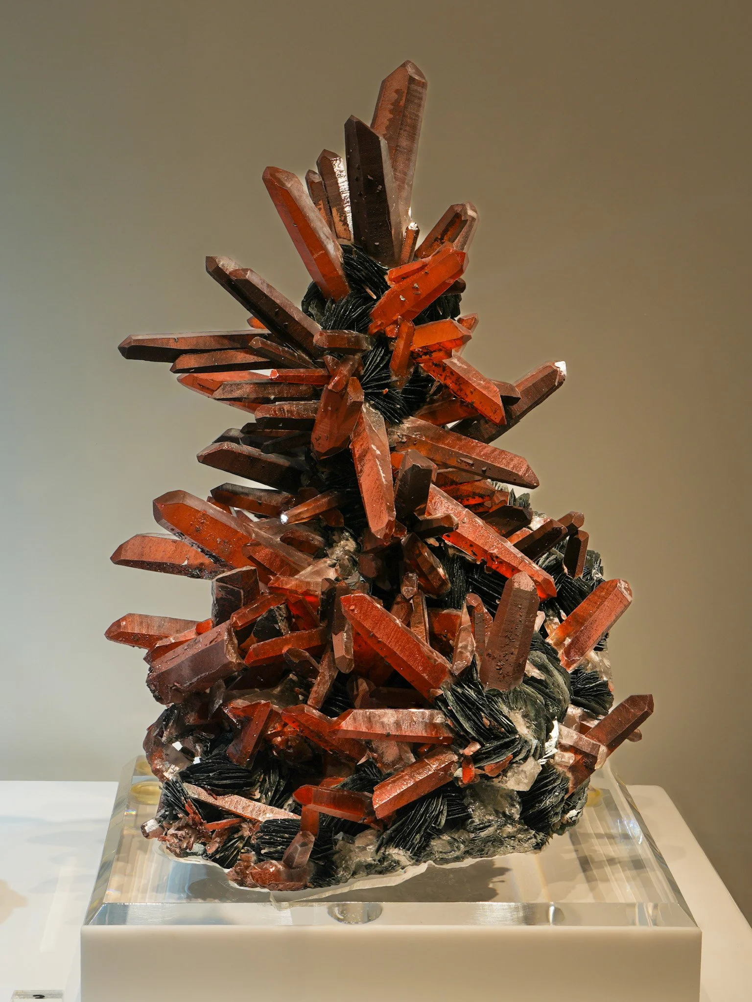 2026-02-27 12-31-24 (B,R8,S1) 2.jpg