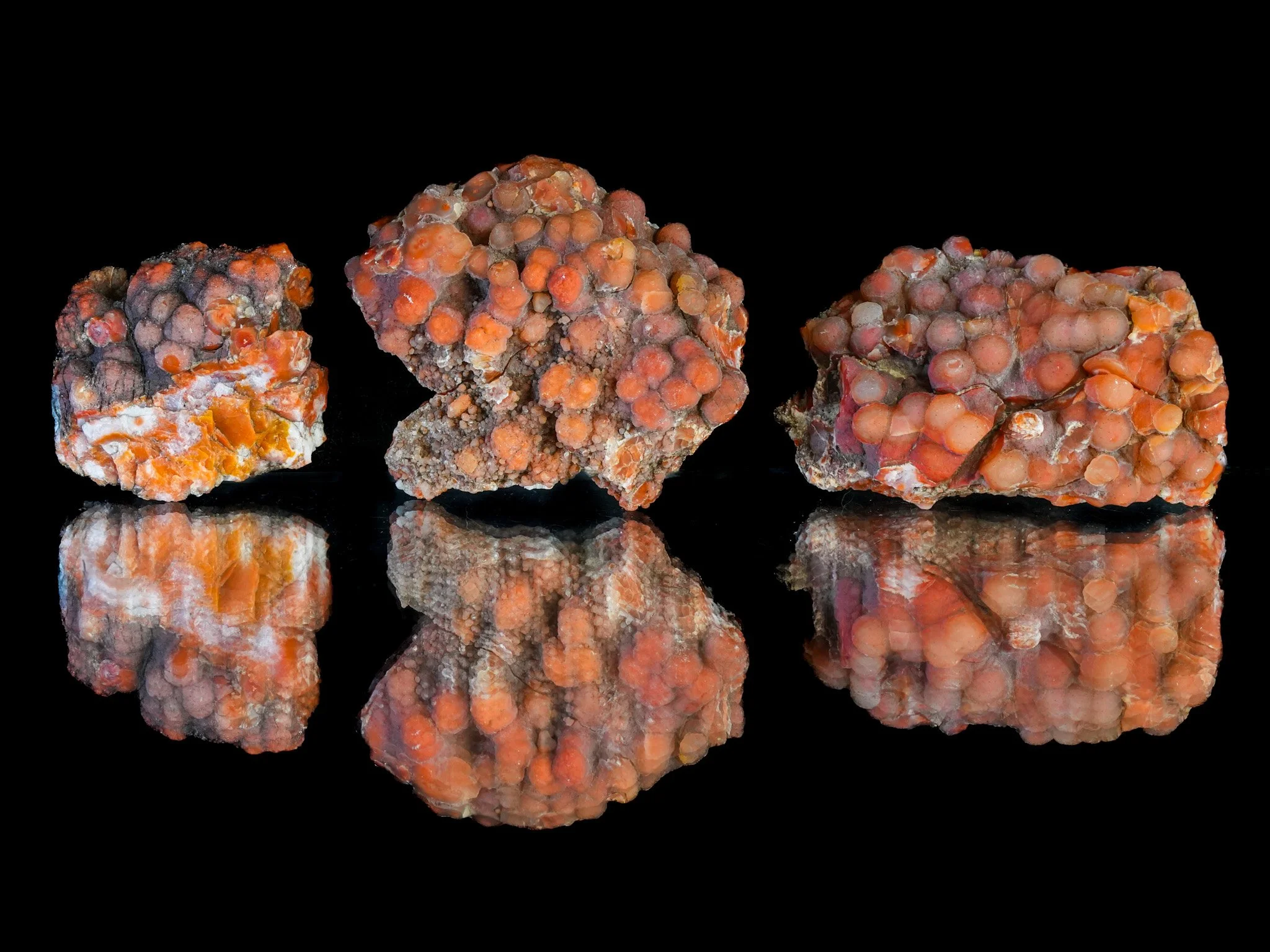 2026-02-19 12-48-58 (B,R8,S1).jpg