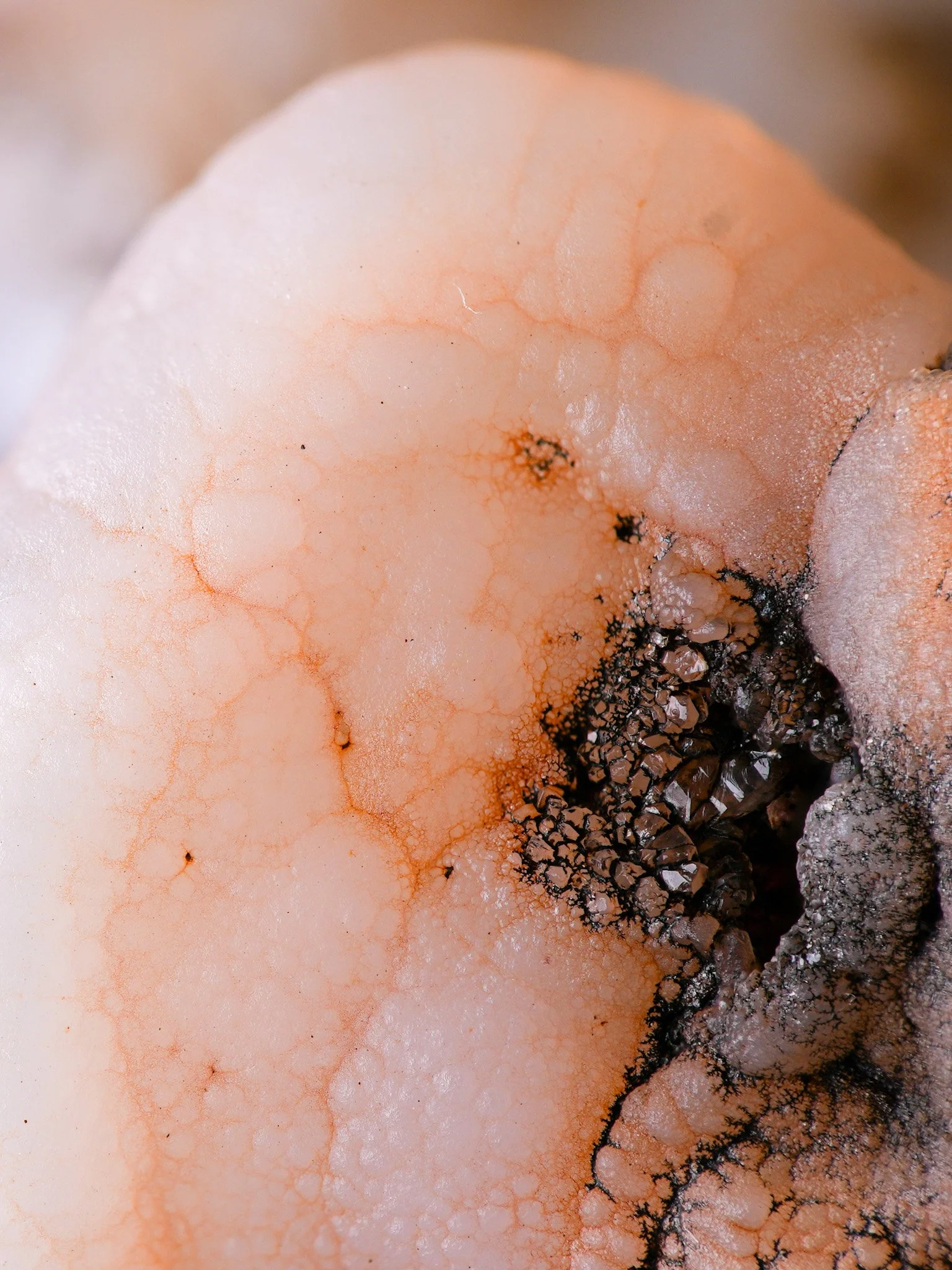 2026-01-06 15-09-48 (B,R8,S4).jpg