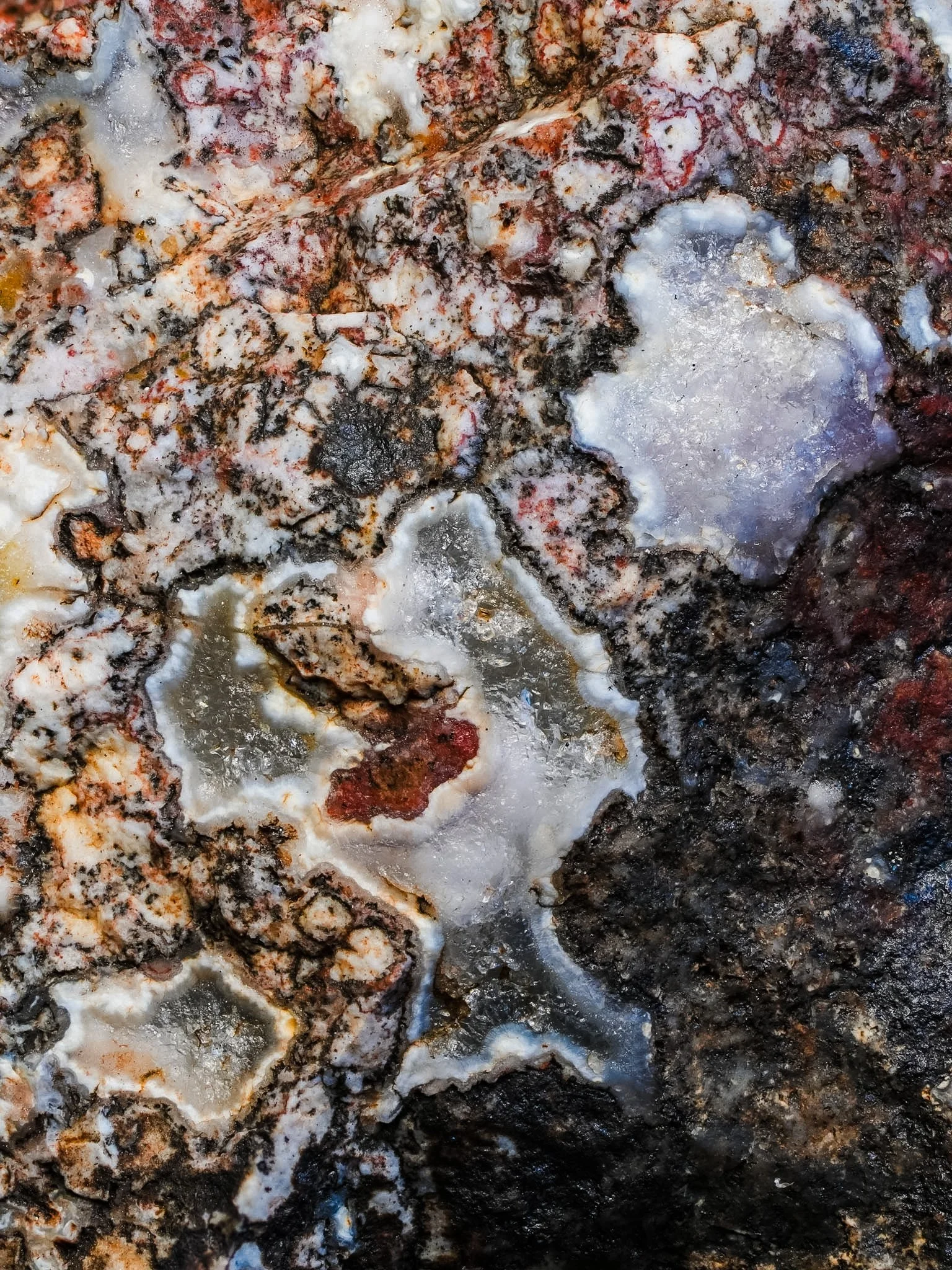 2026-03-19 13-36-33 (B,R8,S1).jpg