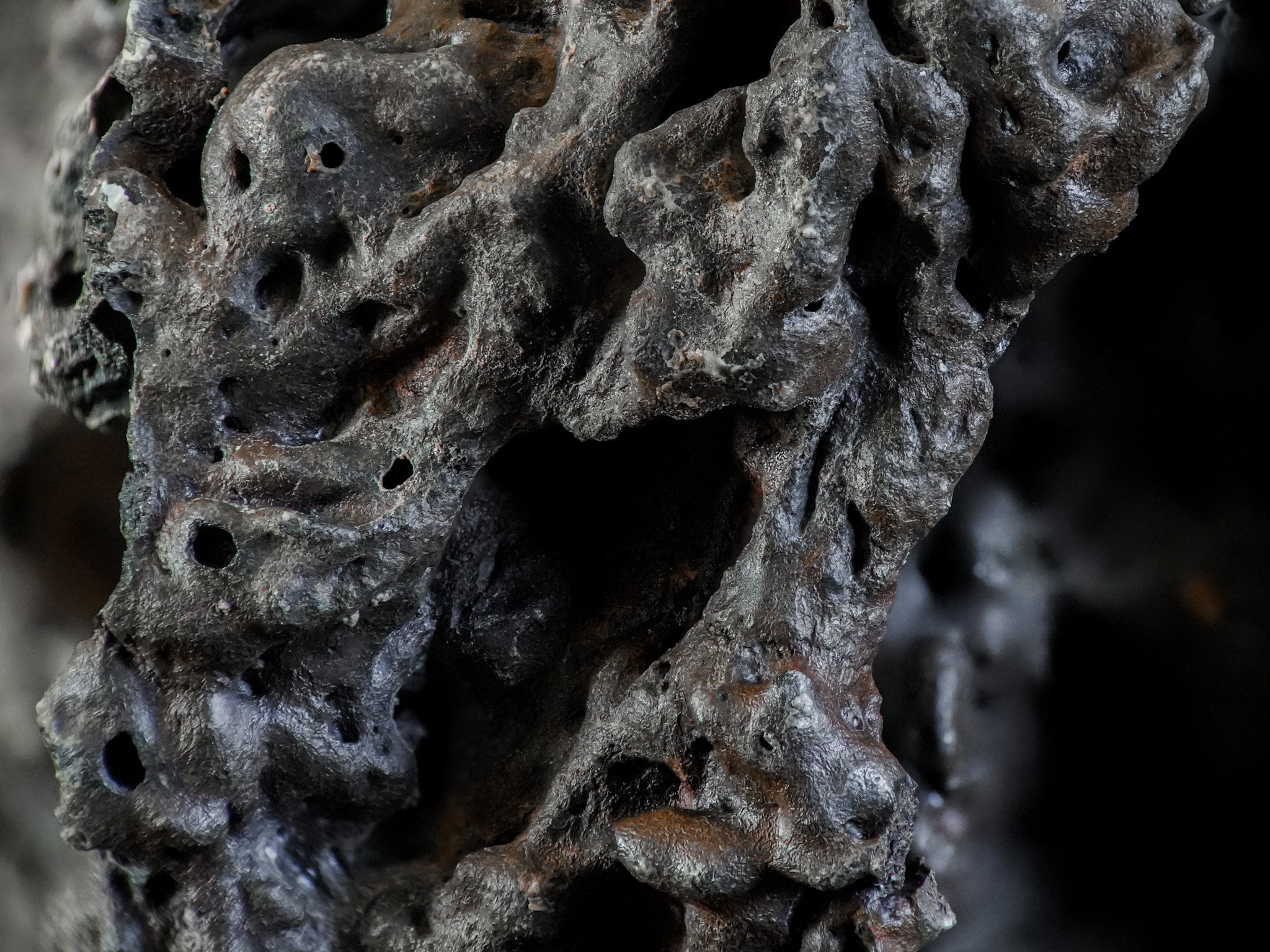 2026-02-13 17-10-30 (B,R8,S1) 2.jpg