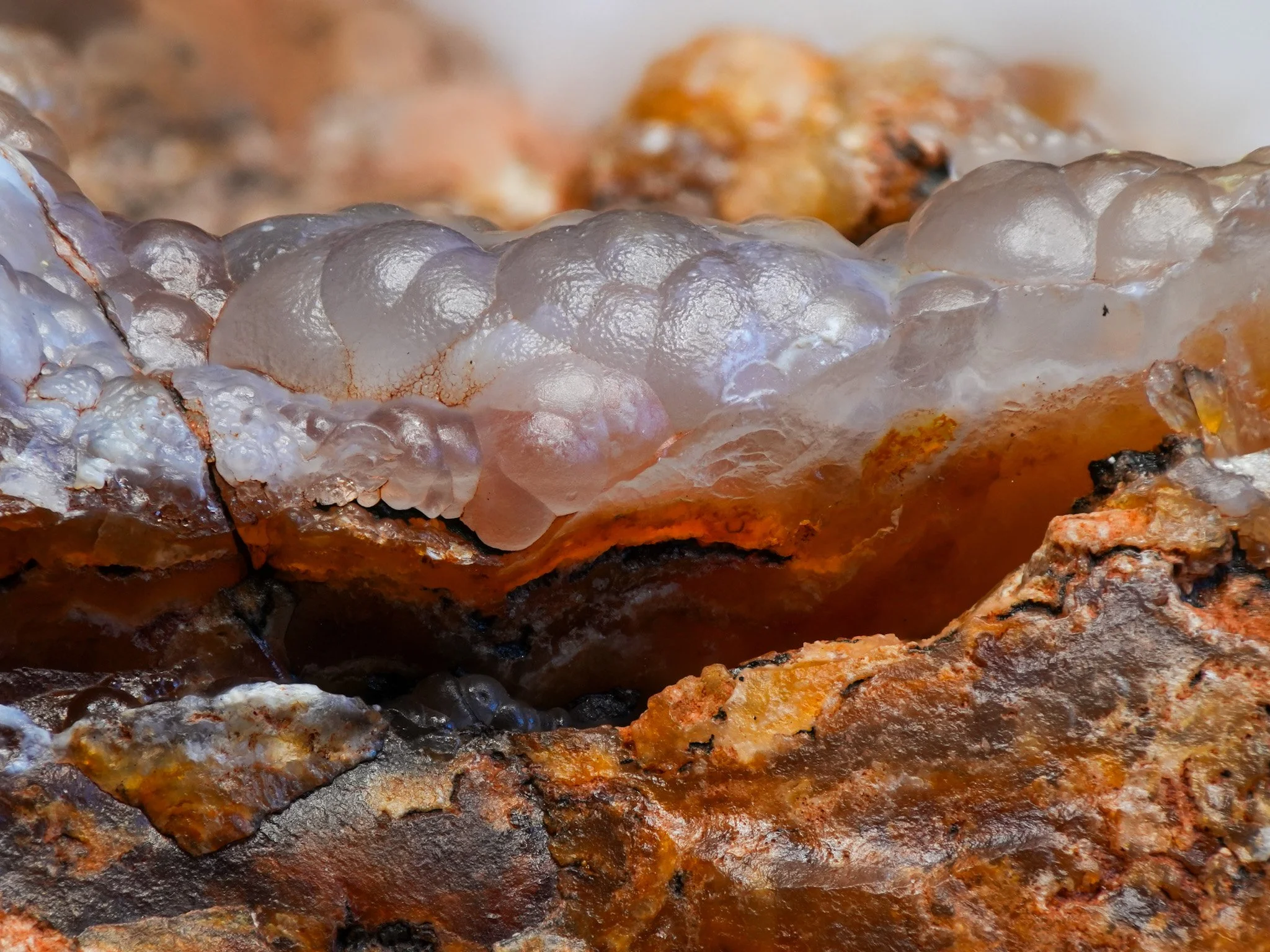 2026-02-26 15-44-48 (B,R8,S1) 2.jpg