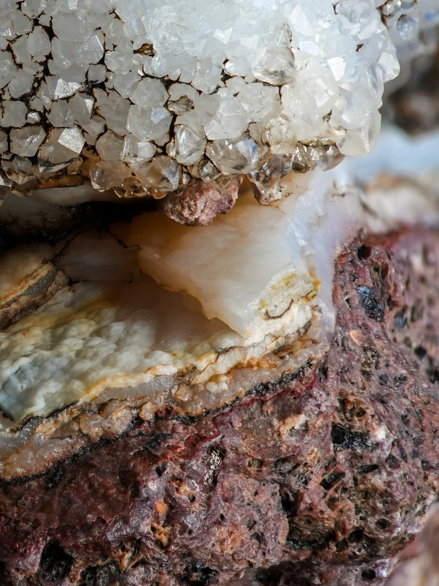 2026-02-01 12-49-16 (B,R8,S4).jpg