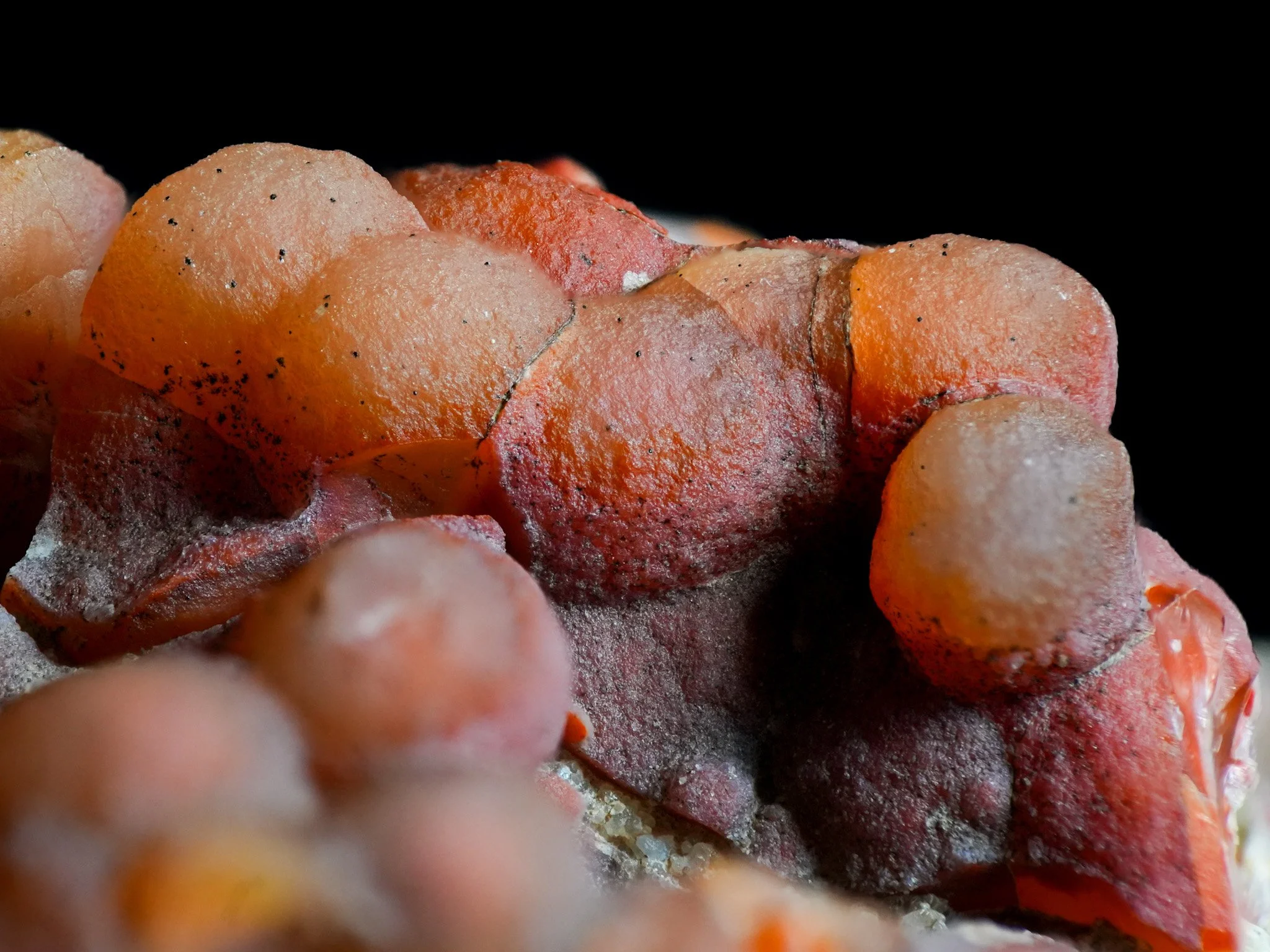 2026-02-19 12-40-57 (B,R8,S1).jpg