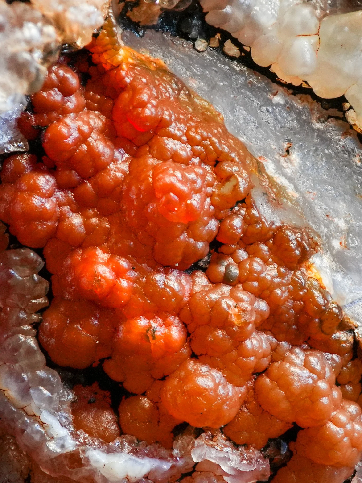 2026-02-26 15-29-22 (B,R8,S1).jpg