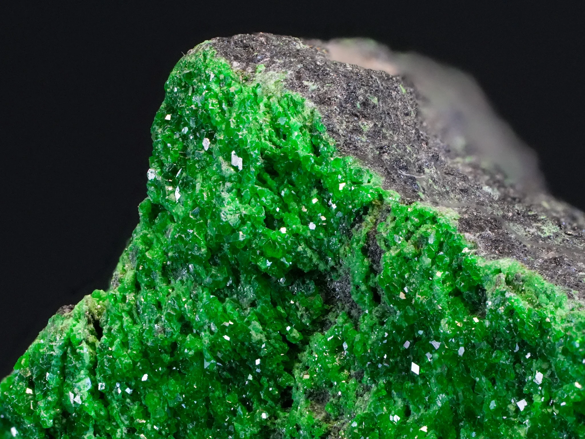 2026-04-20 13-10-45 (B,R8,S4).jpg