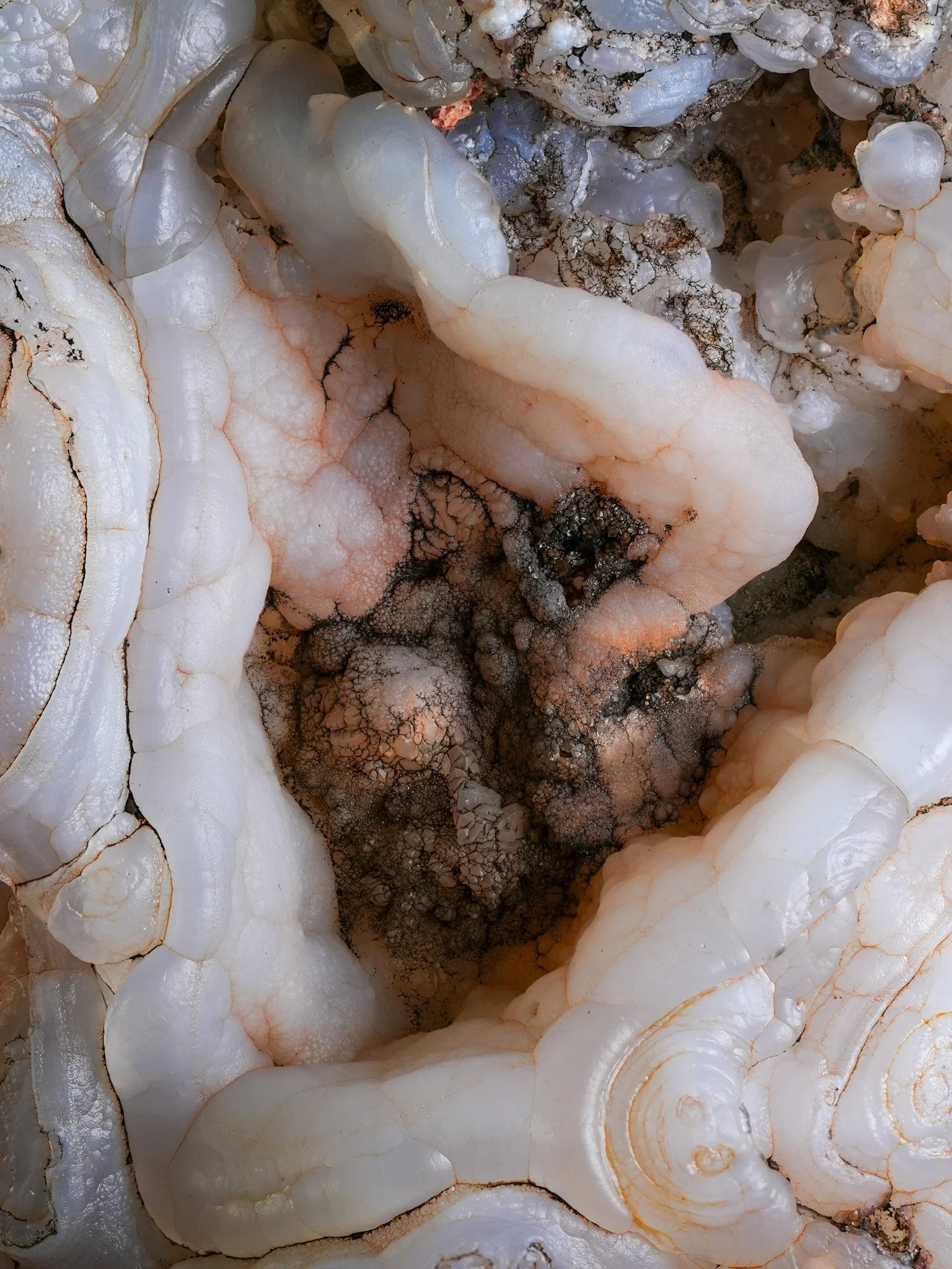 2026-01-06 15-15-01 (B,R8,S4).jpg