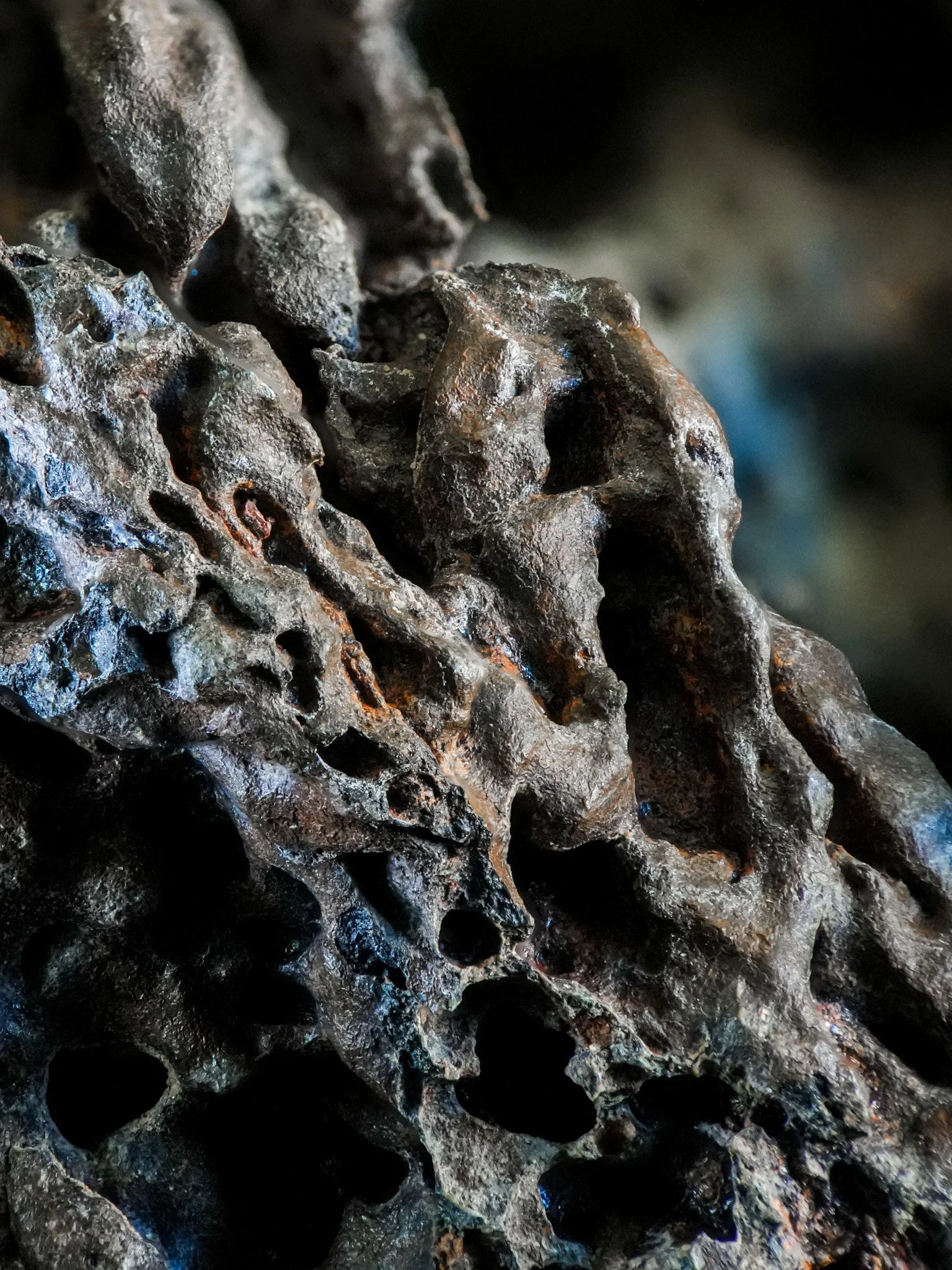 2026-02-13 16-52-02 (B,R8,S1).jpg