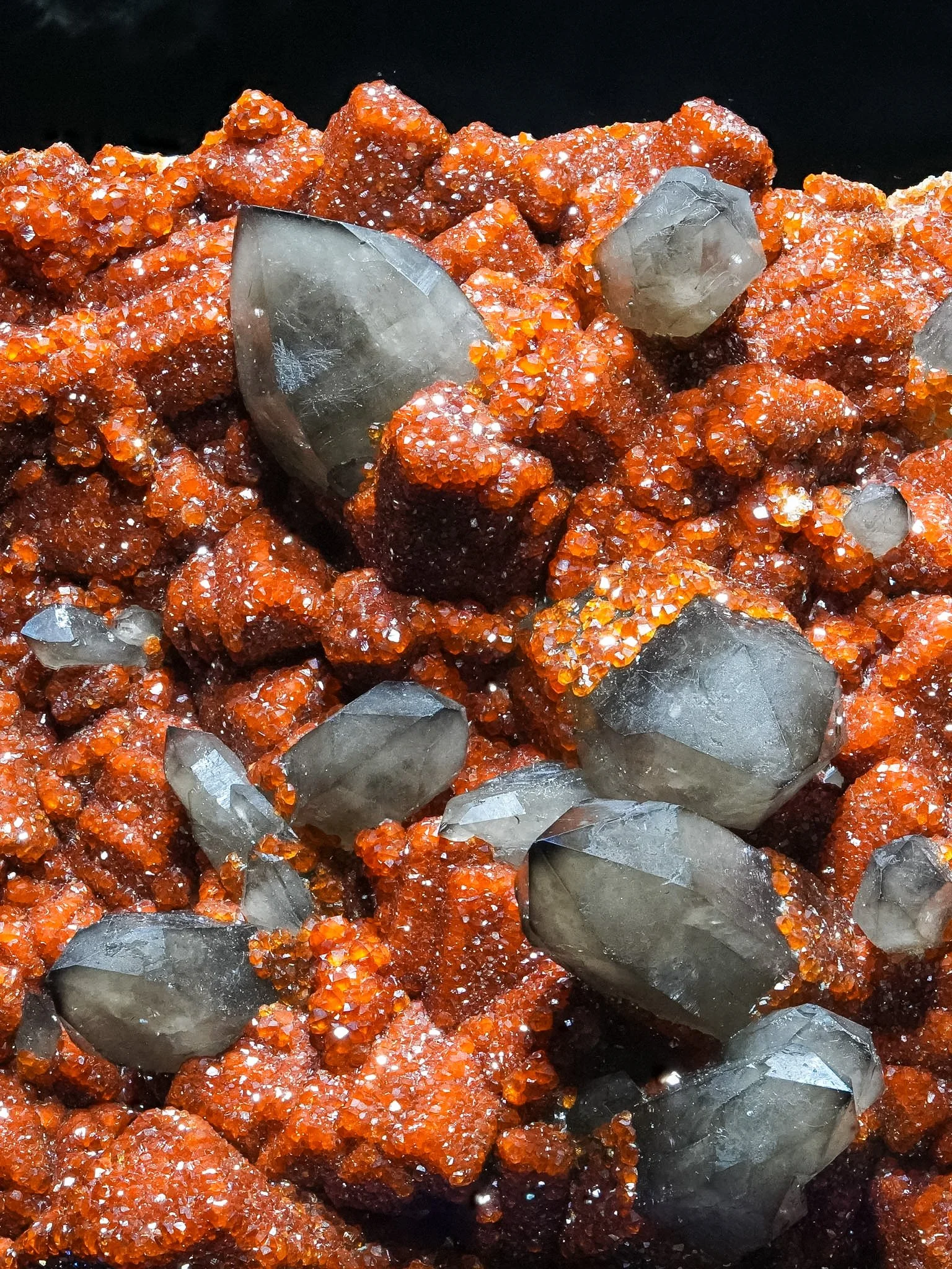 2026-02-27 12-48-30 (B,R8,S1).jpg