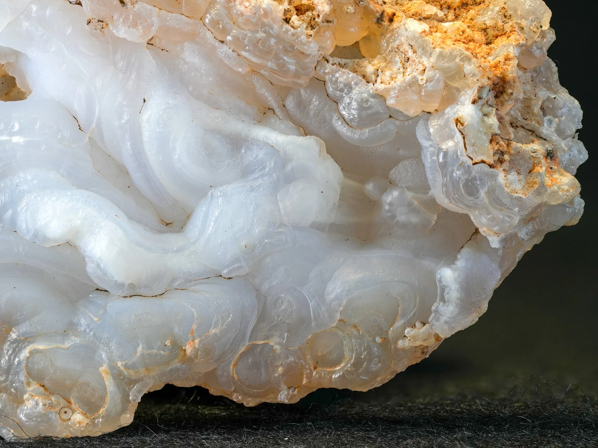 2026-01-29 14-43-25 (B,R8,S4).jpg