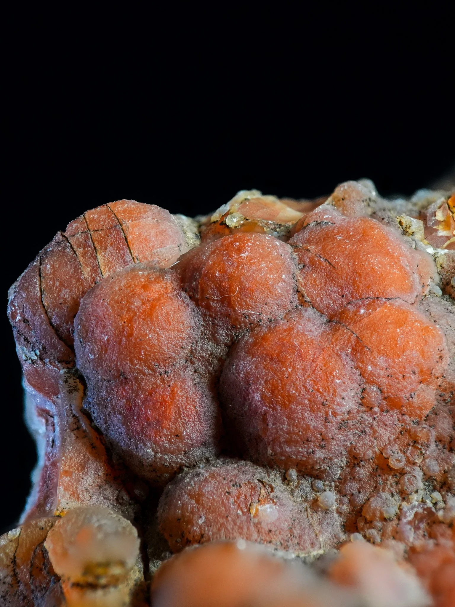 2026-02-19 12-37-09 (B,R8,S1).jpg