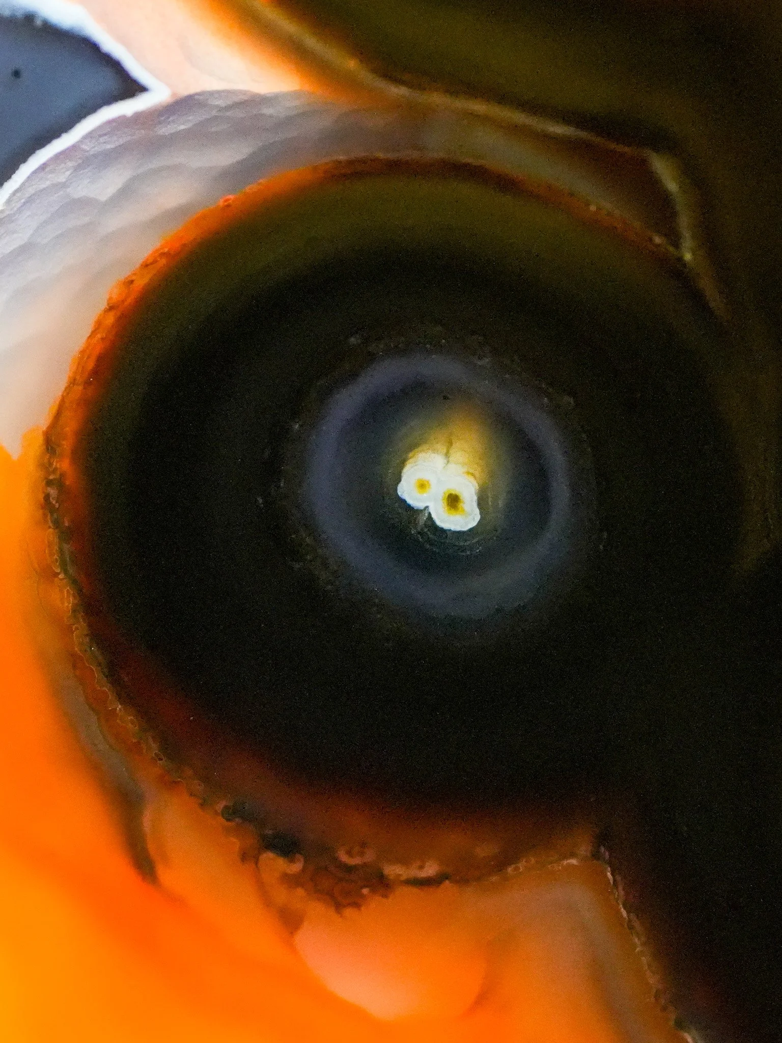 2026-04-15 15-52-46 (B,R8,S3).jpg