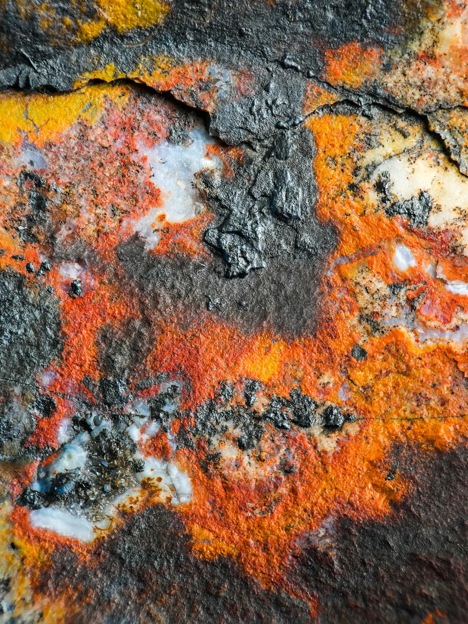 2026-02-07 12-56-09 (B,R8,S4).jpg