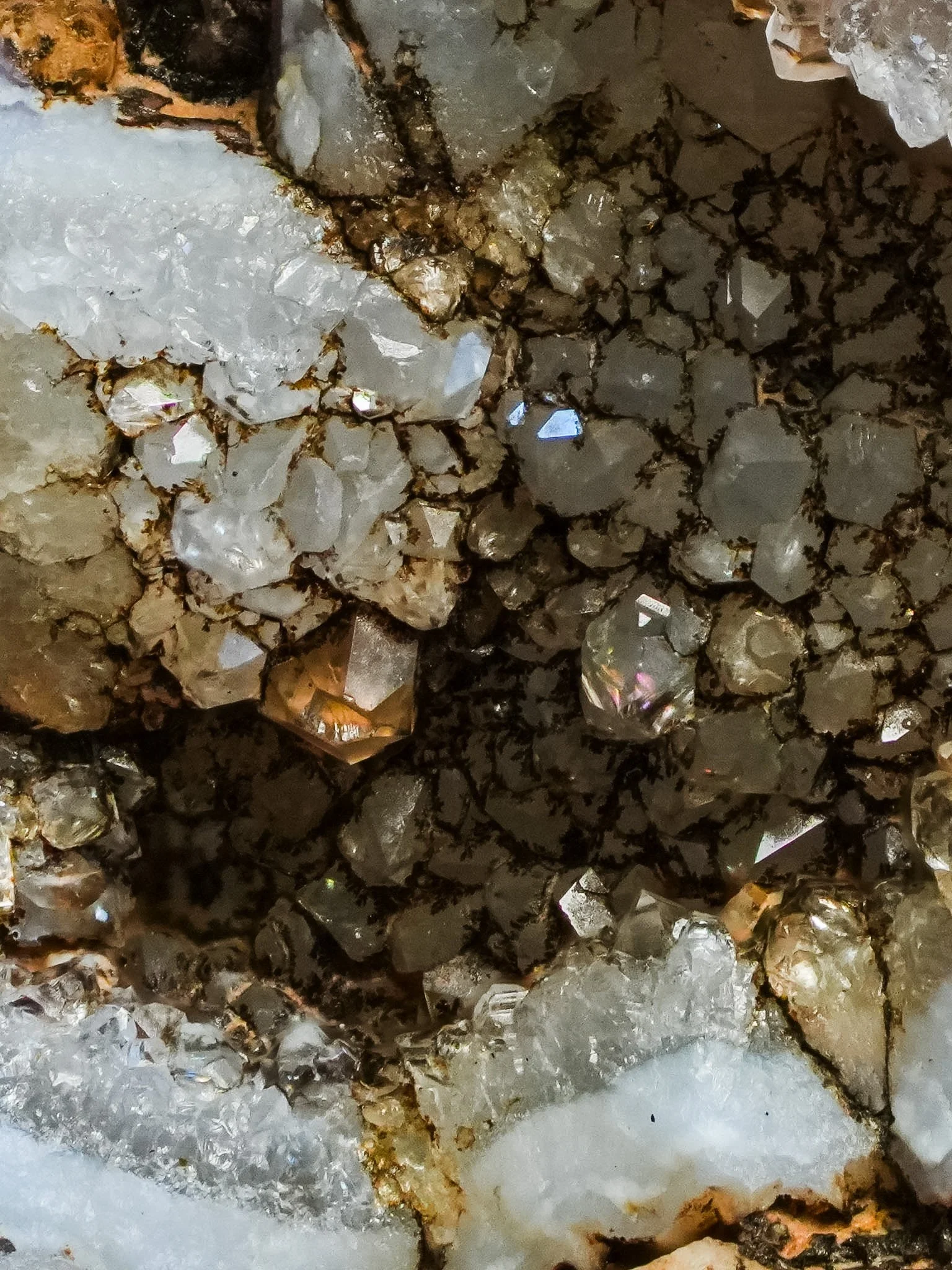 2026-03-19 13-25-53 (B,R8,S1).jpg