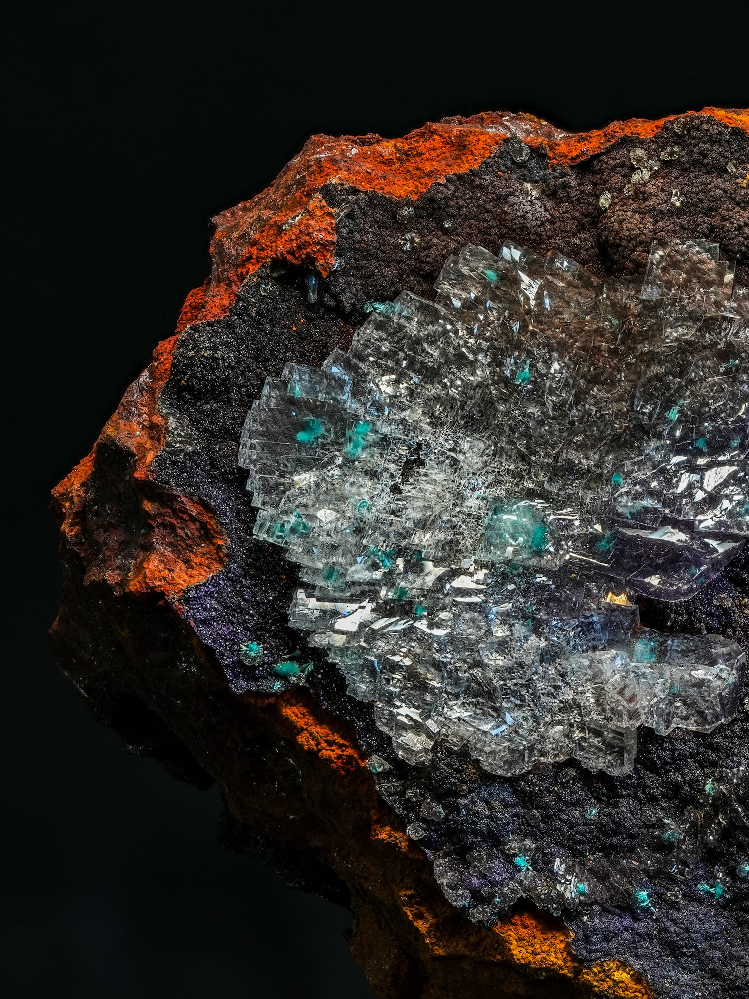 2026-04-09 16-14-21 (C,S1) 3.jpg