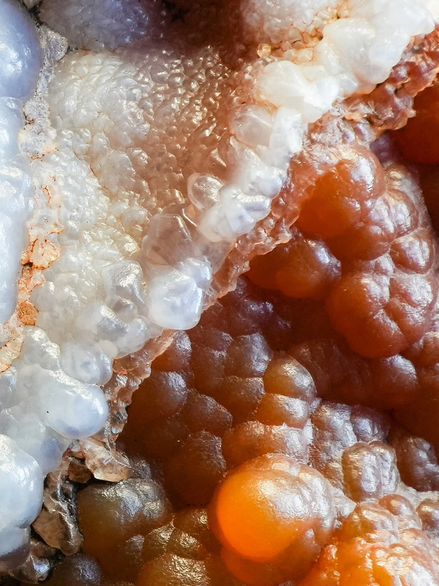 2026-02-26 15-47-00 (B,R8,S1).jpg