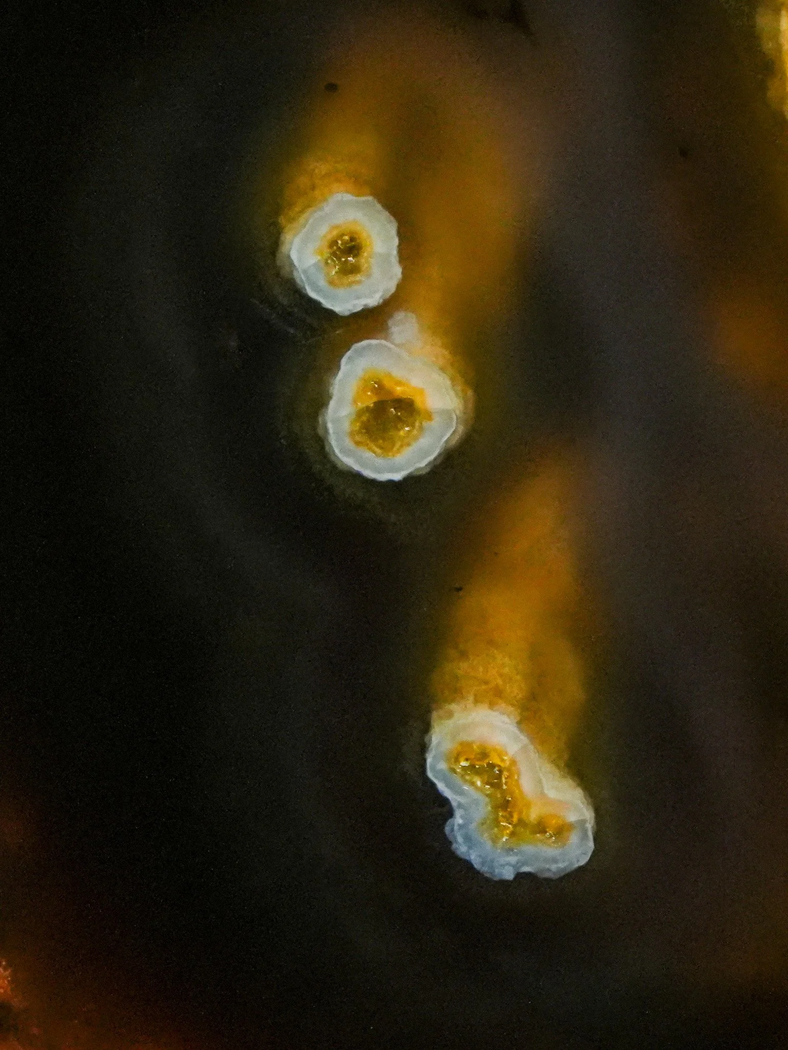 2026-04-15 15-52-12 (B,R8,S3).jpg