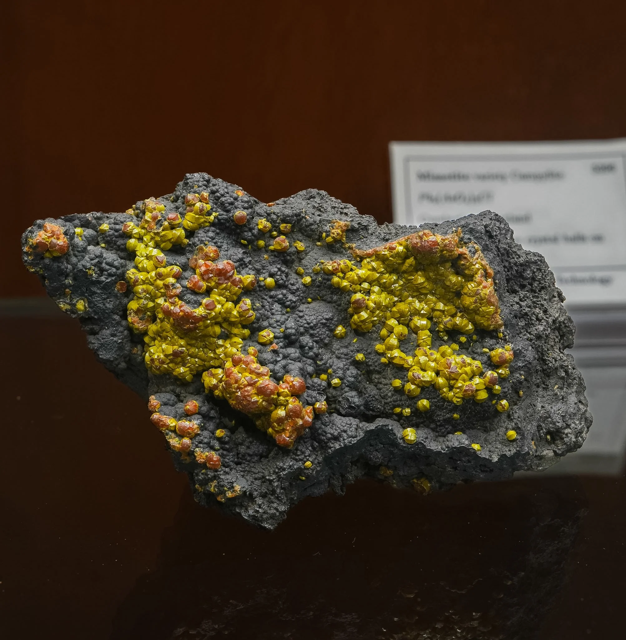 2026-03-05 15-01-44 (B,R8,S1).jpg