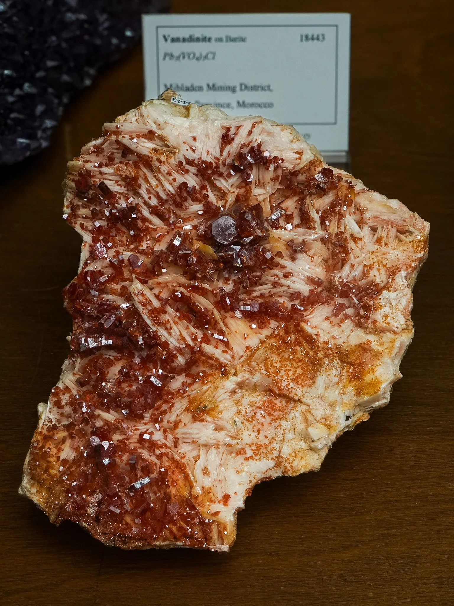 2026-03-05 14-51-08 (B,R8,S1).jpg