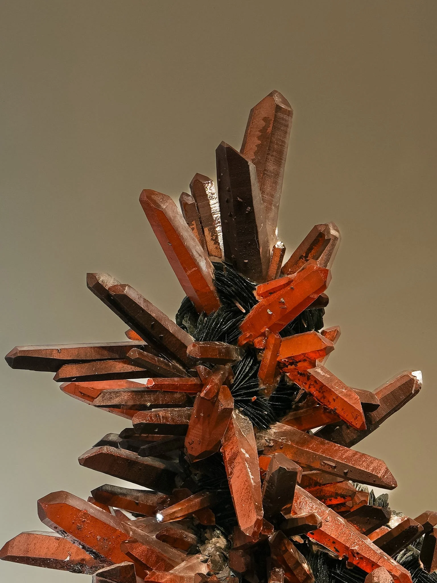 2026-02-27 12-31-24 (B,R8,S1).jpg