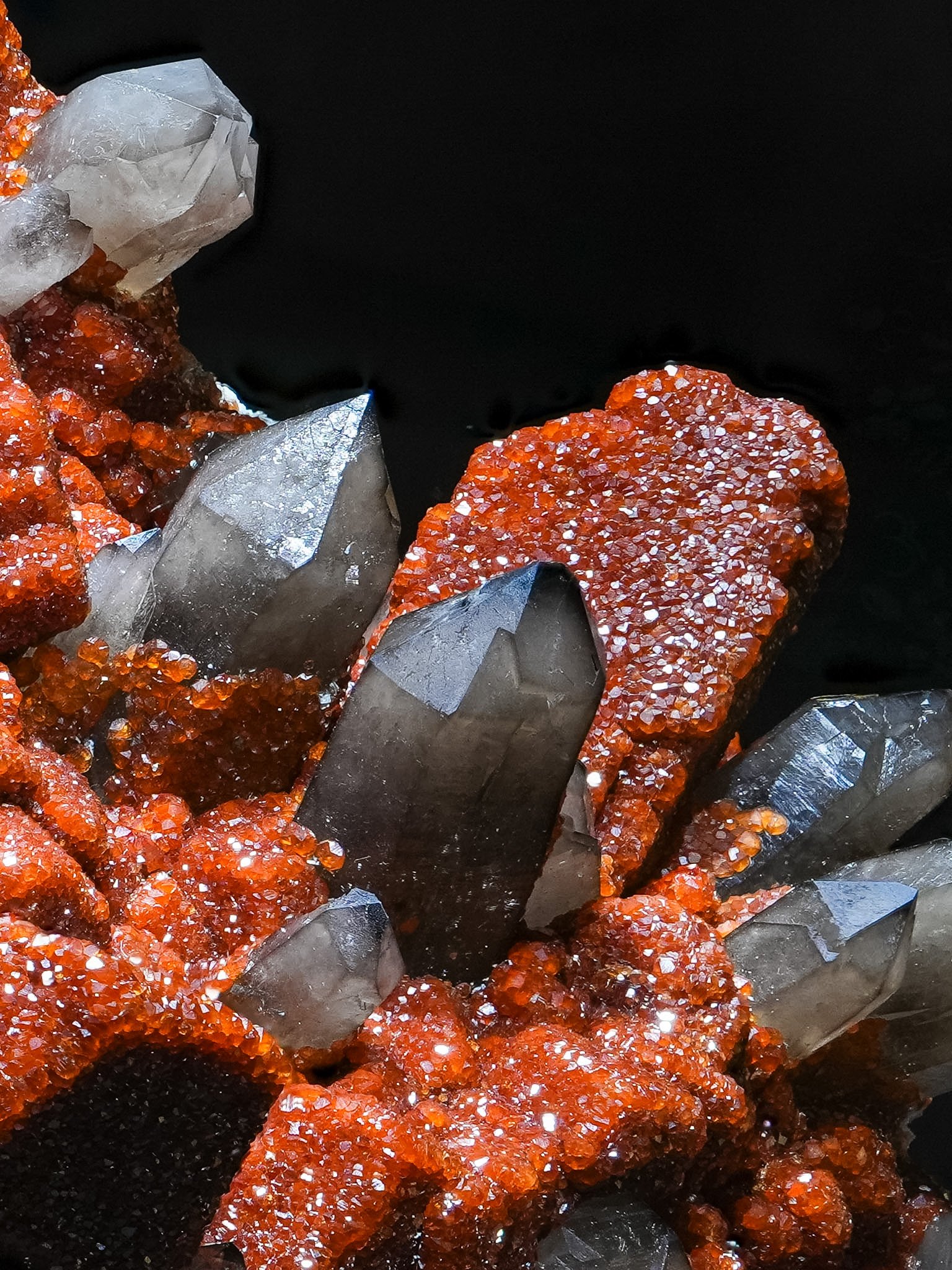 2026-02-27 12-40-44 (B,R8,S1).jpg