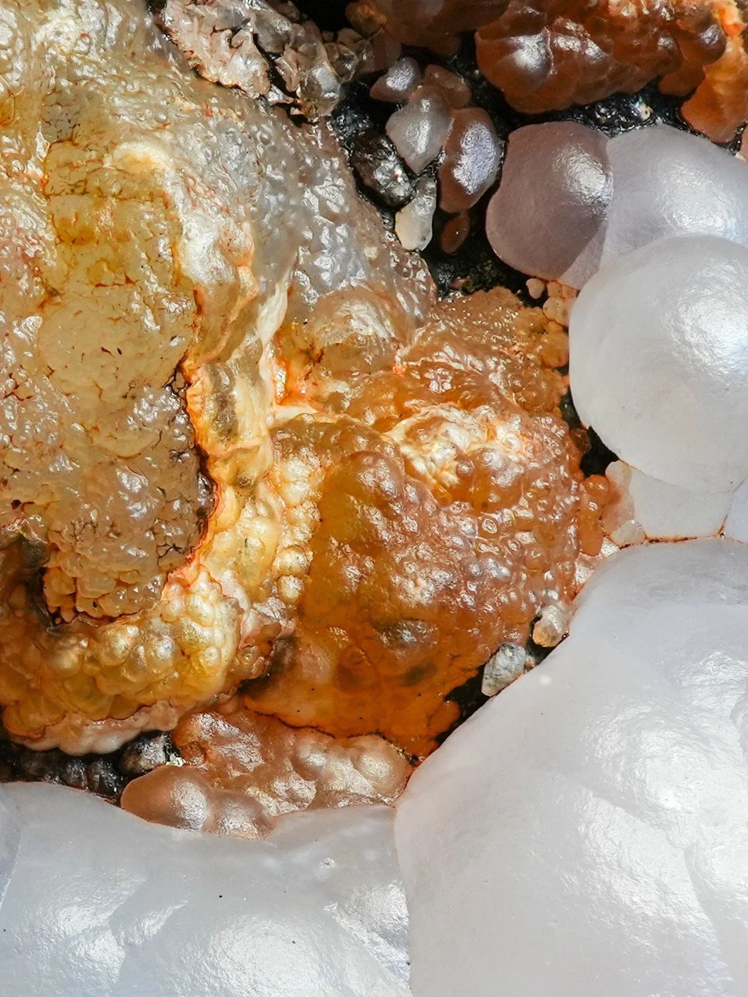 2026-02-26 15-34-30 (B,R8,S1).jpg