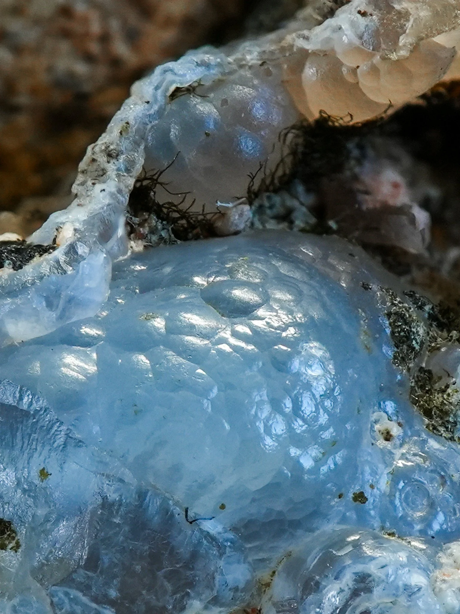 2026-02-12 13-43-53 (B,R8,S1).jpg