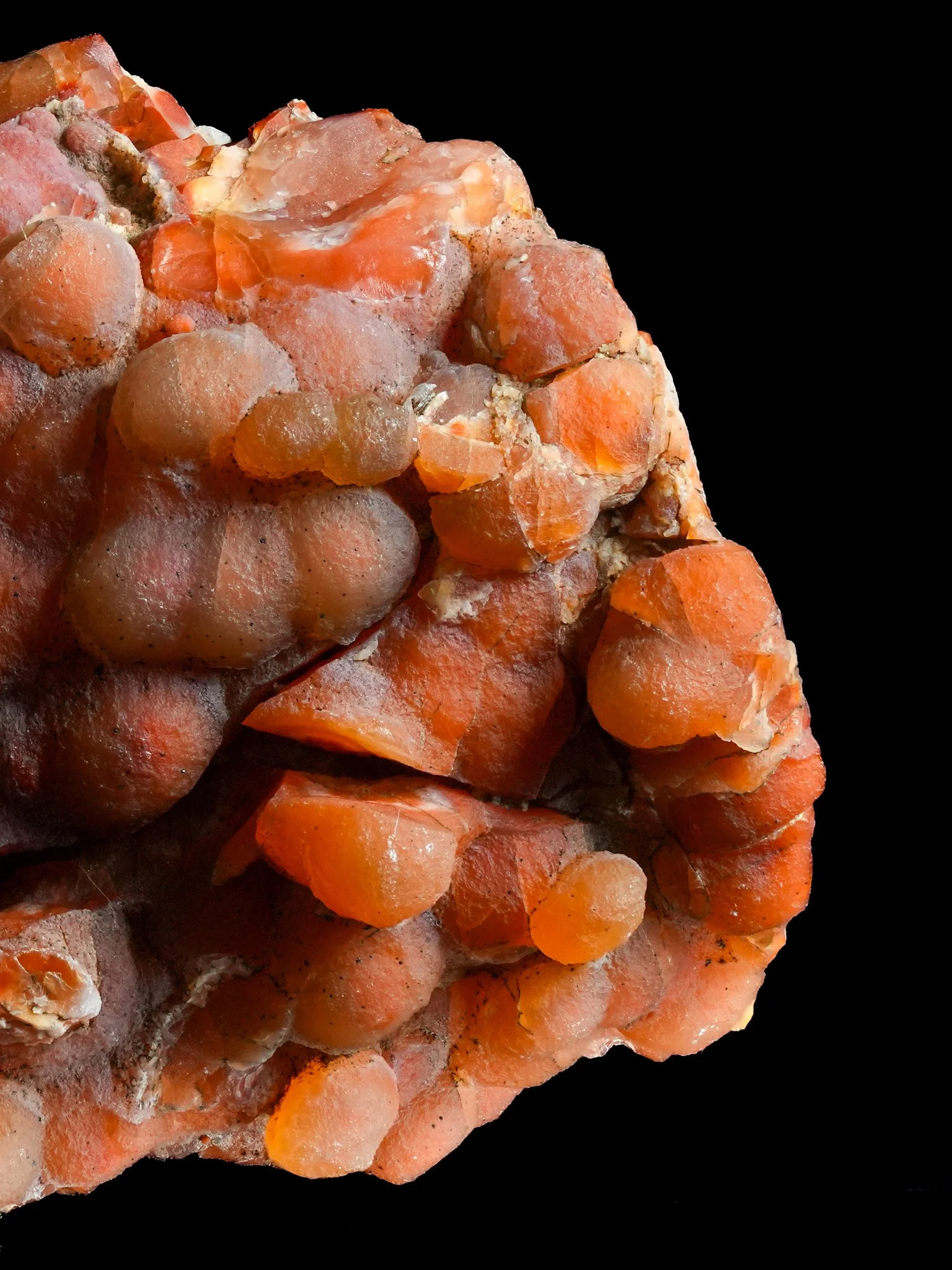 2026-02-19 12-48-20 (B,R8,S1).jpg