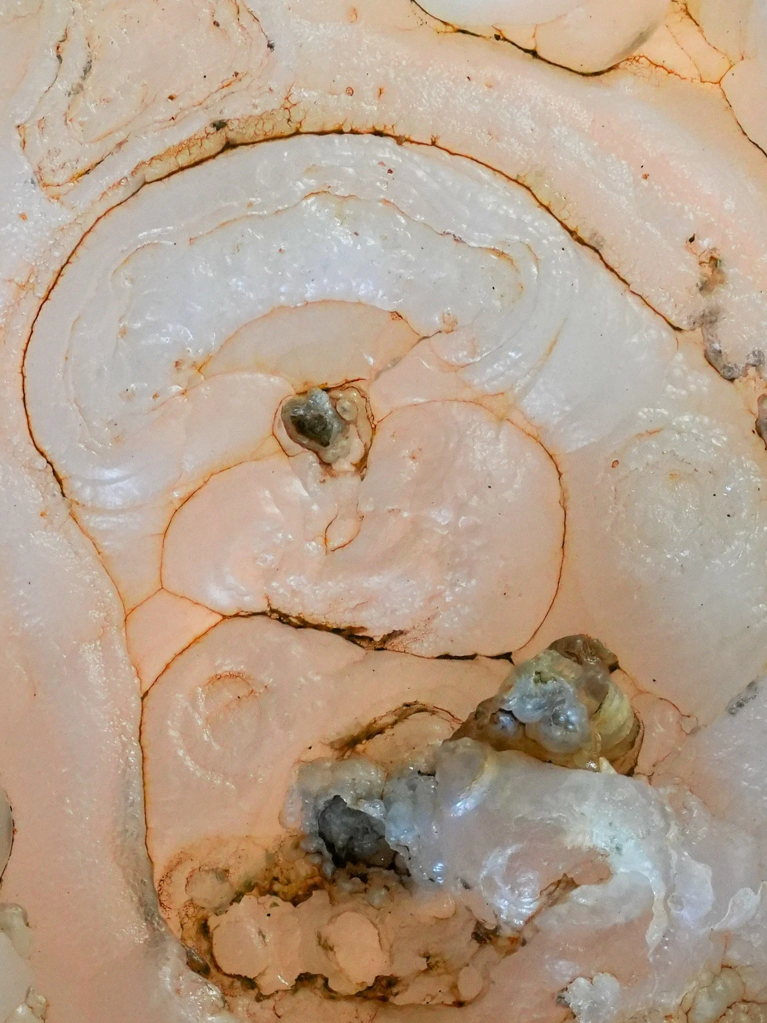 2026-01-07 15-52-23 (B,R8,S4).jpg