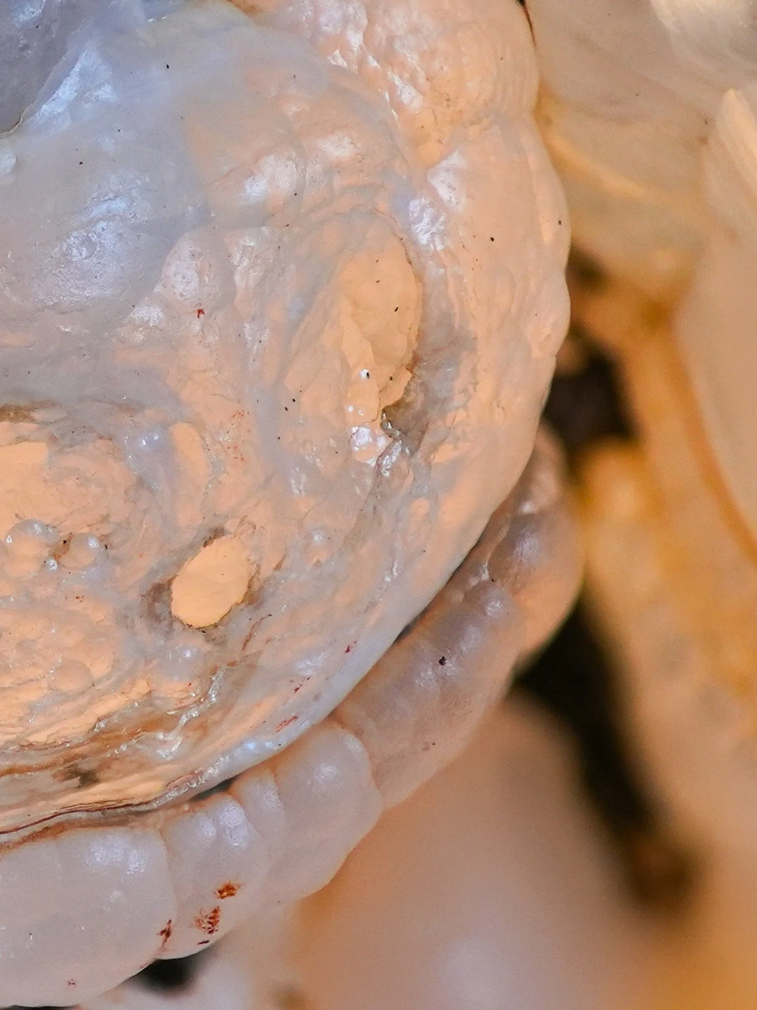 2026-01-29 14-35-32 (B,R8,S4) 3.jpg