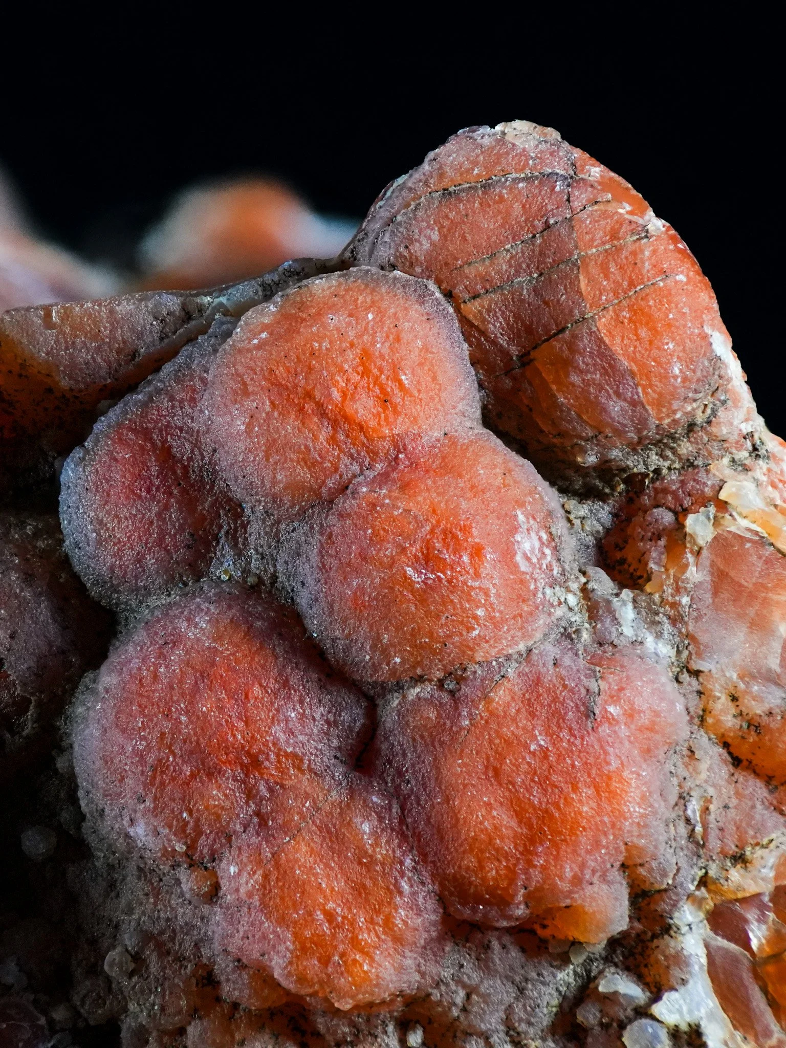 2026-02-19 12-20-40 (B,R8,S1).jpg