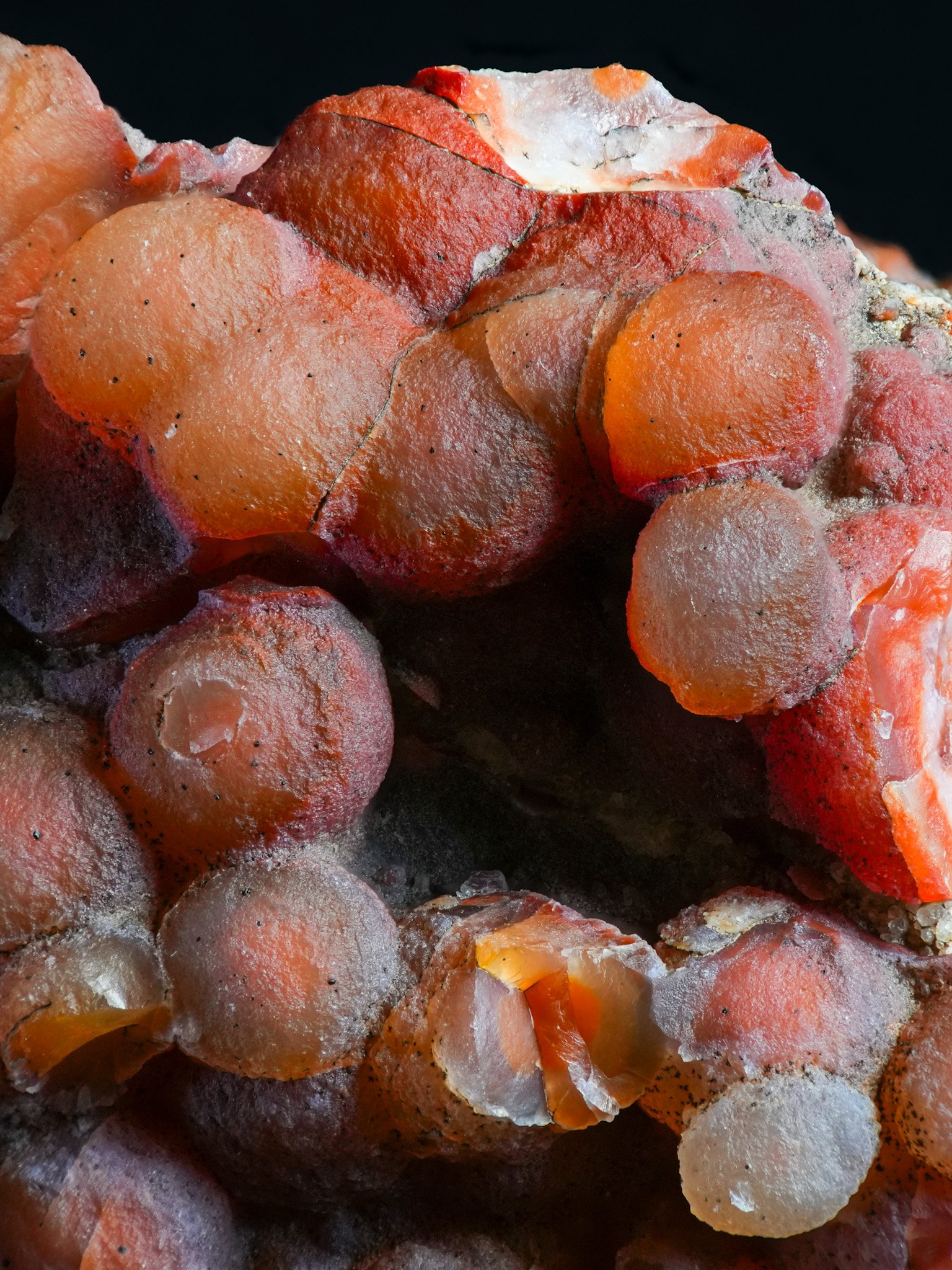 2026-02-19 12-42-59 (B,R8,S1).jpg