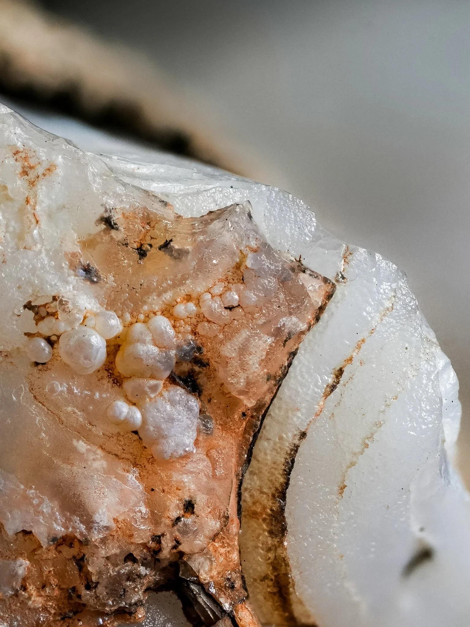 2026-03-12 13-14-12 (B,R8,S1).jpg