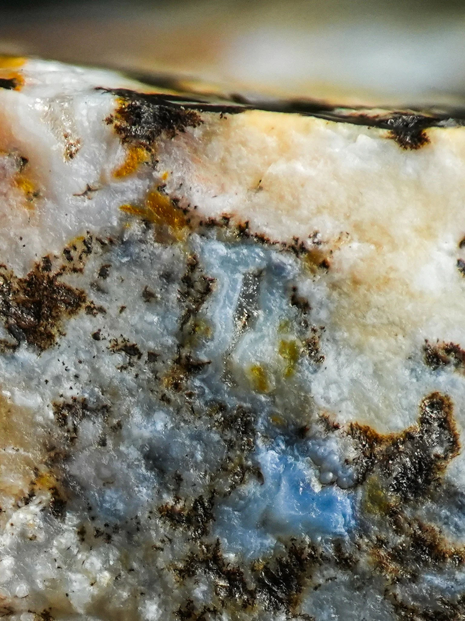 2026-02-17 14-46-32 (B,R8,S1).jpg